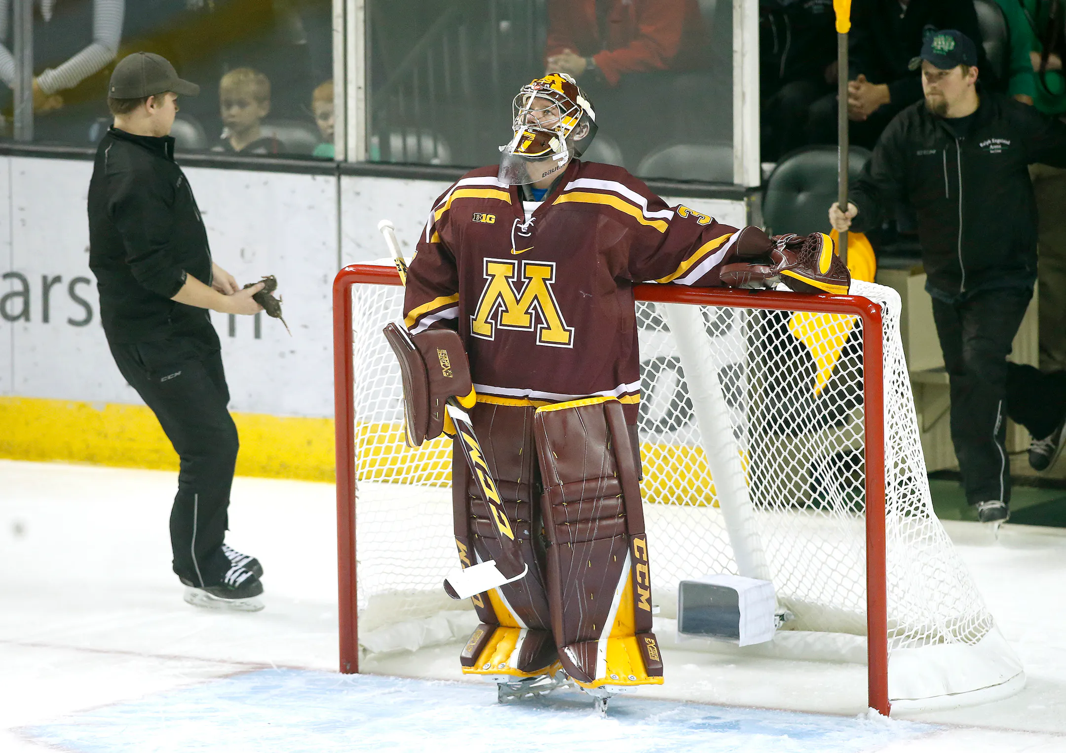 Gophers-North Dakota Saturday recap