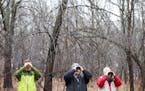Birdwatchers at the Springbrook Nature Center looked for migratory birds in April 2015.