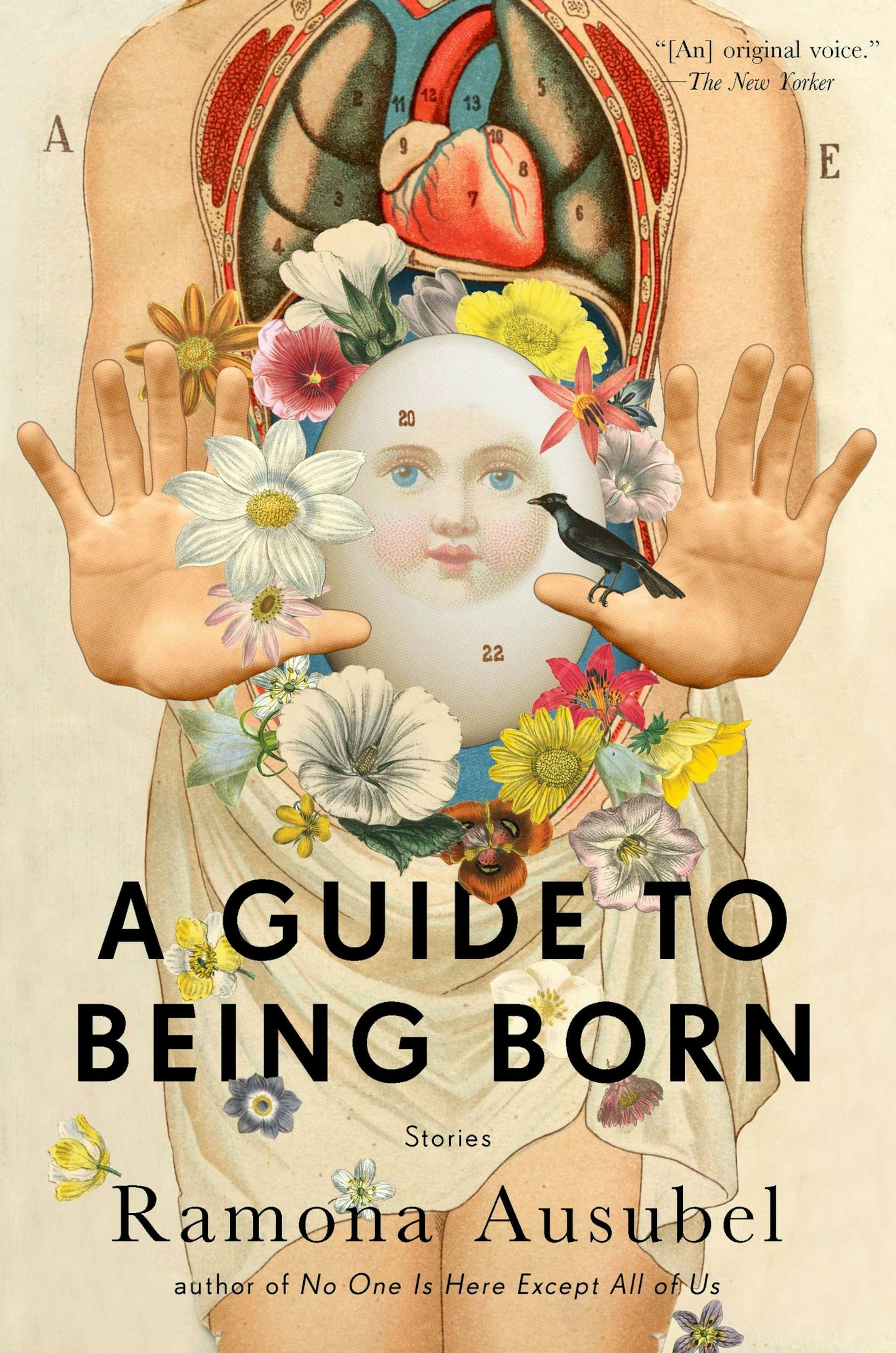 "A Guide to Being Born," stories by Ramona Ausubel.