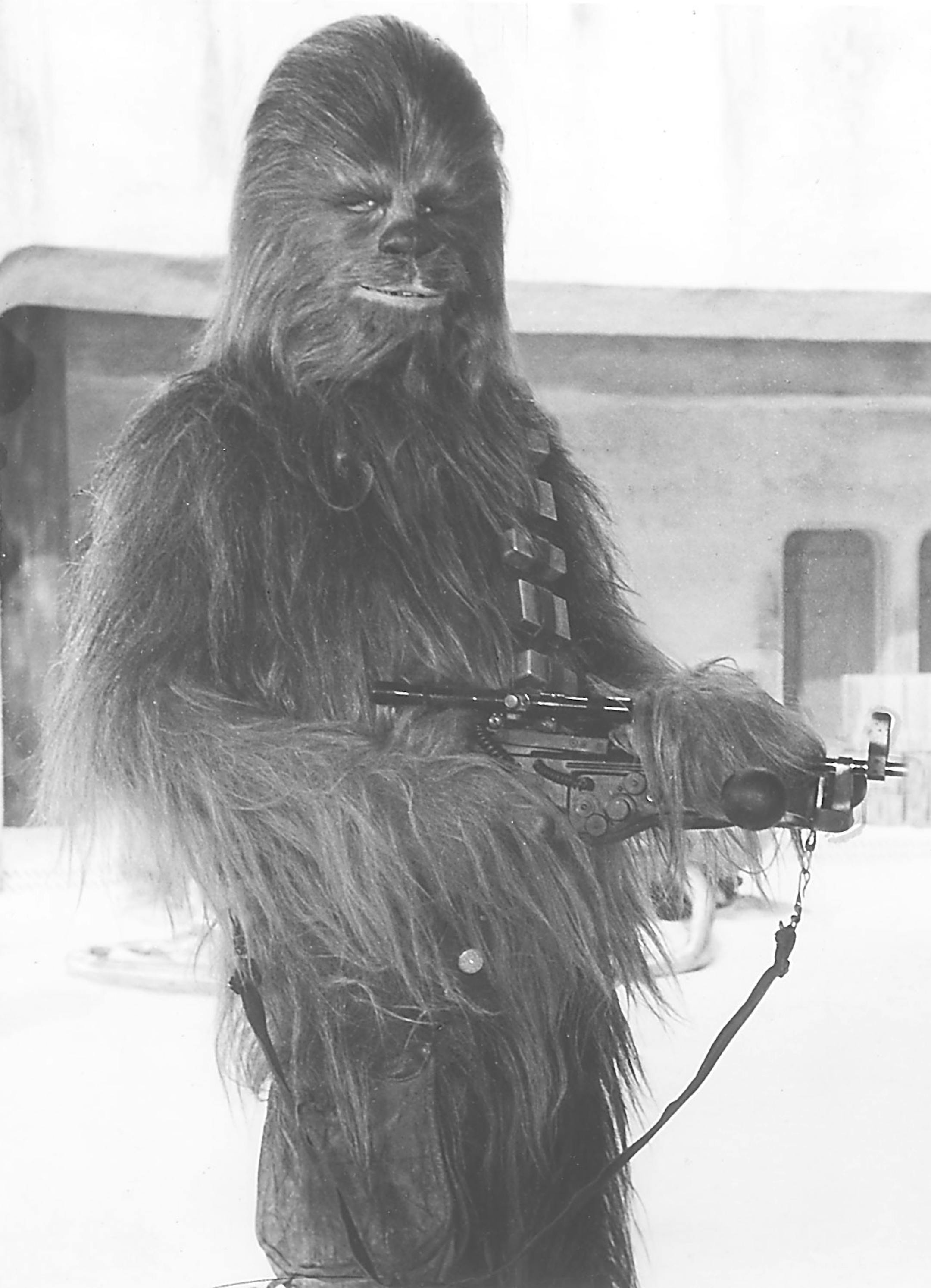 Chewbacca from "Star Wars," 1977 moton picture.