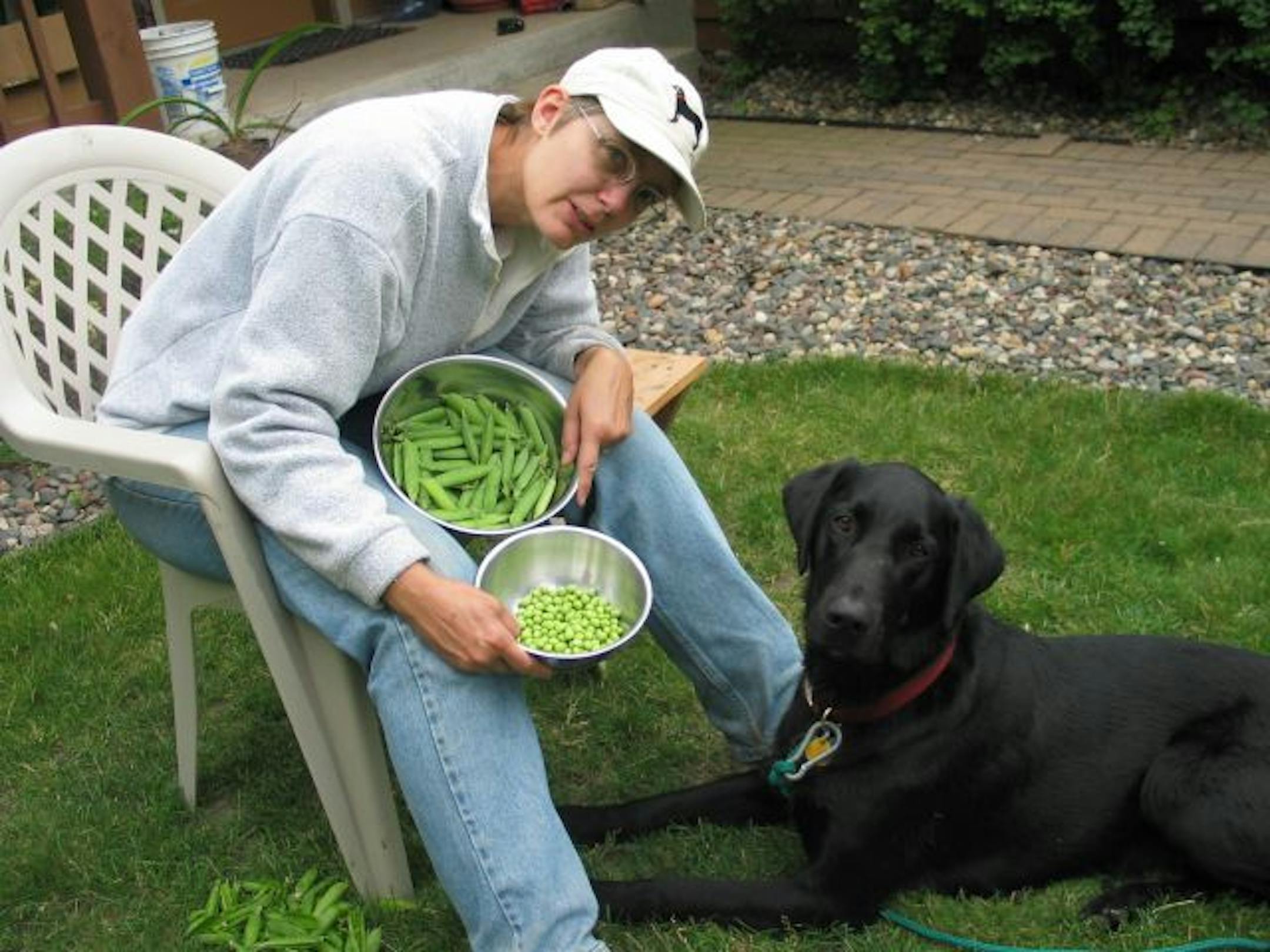 Provided photoCenterville resident Terry Johnson proposed changing the animal control ordinance to allow beekeeping to the Planning and Zoning Commission in December