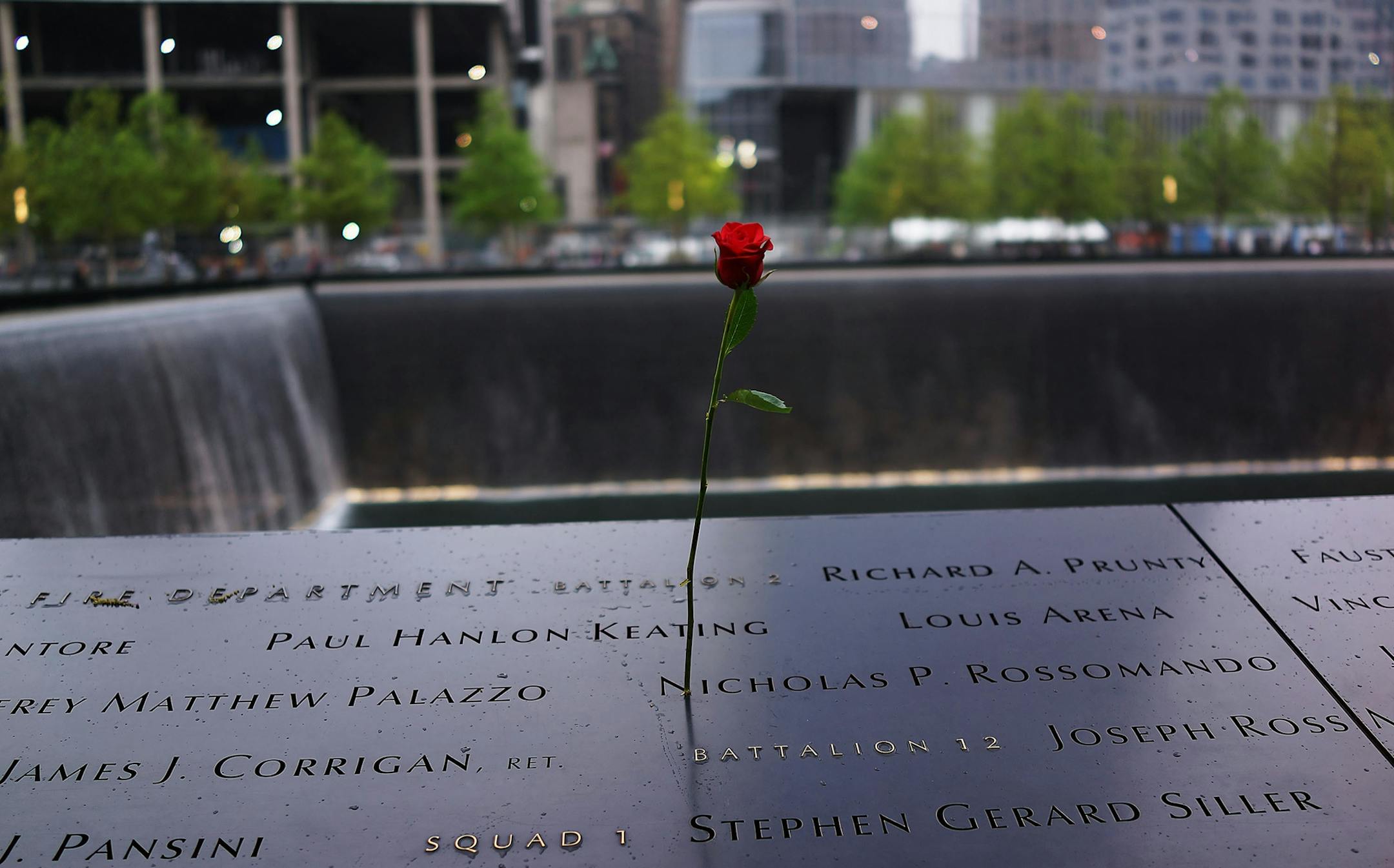 A rose is placed on a name engraved along the South reflecting pool at the Ground Zero memorial site during the dedication ceremony of the National September 11 Memorial Museum in New York on Thursday, May 15, 2014. (AP Photo/Spencer Platt, Pool) ORG XMIT: NYDK142 ORG XMIT: MIN1409101300530051