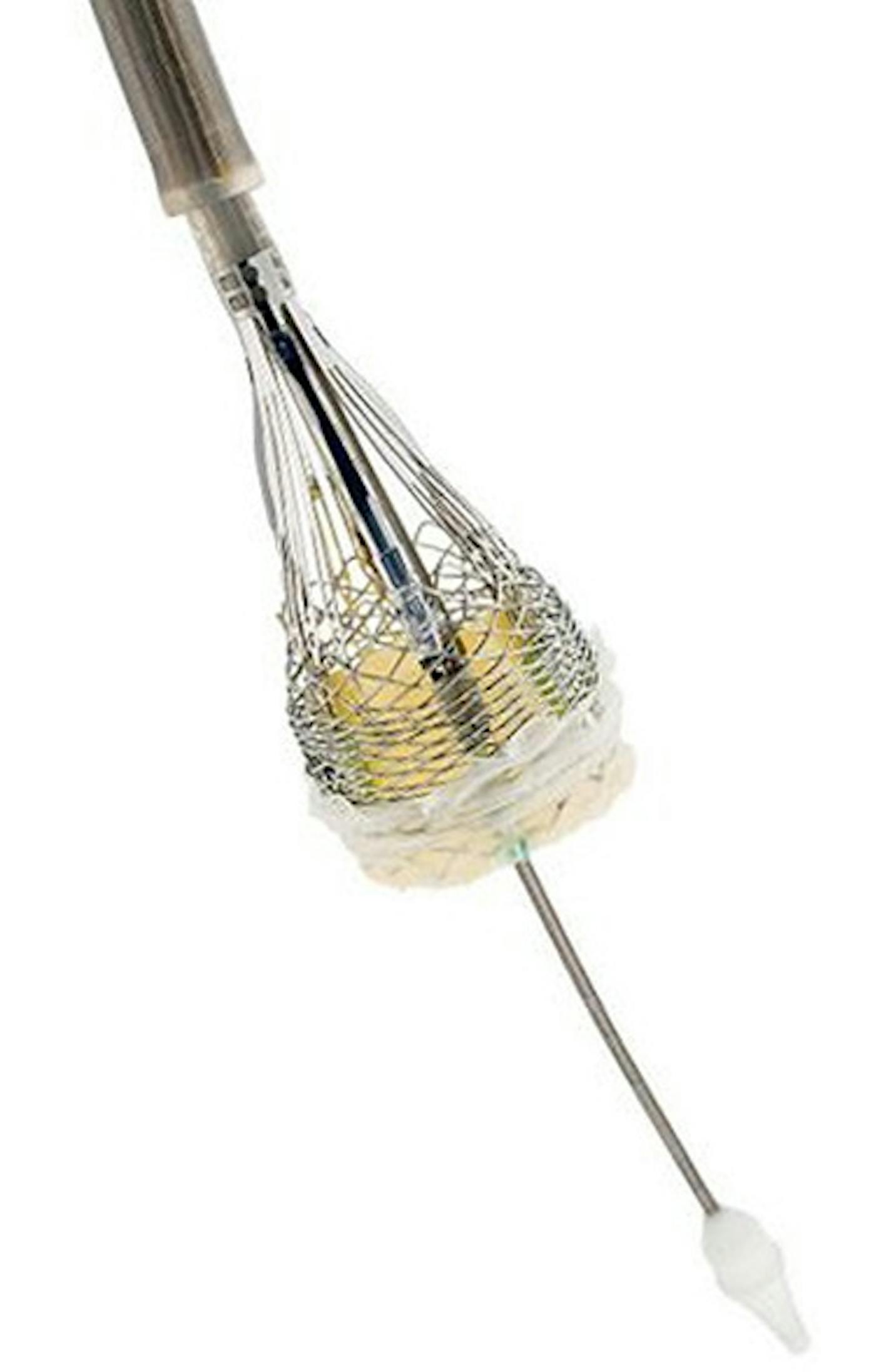 Lotus transcatheter aortic heart valve replacement system This one shows the delivery mechanism, which is where the defect is ORG XMIT: MIN1702231804176135