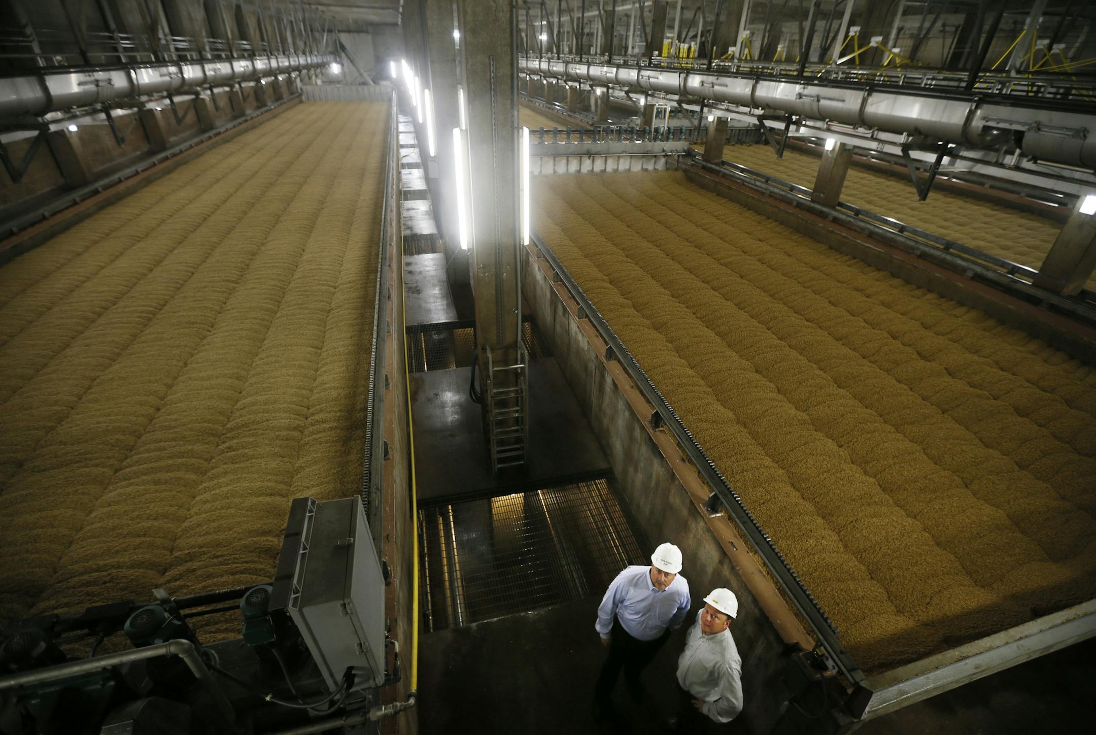 Gary V. Lee president and chief executive officer and William T. Rahr posed in front of barley durning the germination process. Profile of Shakopee-based Rahr Malting, founded in 1847 and today one the U.S.'s two largest barley malters, along with Cargill. Barley is the key ingredient in beer, of course, and malting is ancient practice.October 02, 2013 in Shakopee, MN.] JERRY HOLT ‚Ä¢ jerry.holt@startribune.com
