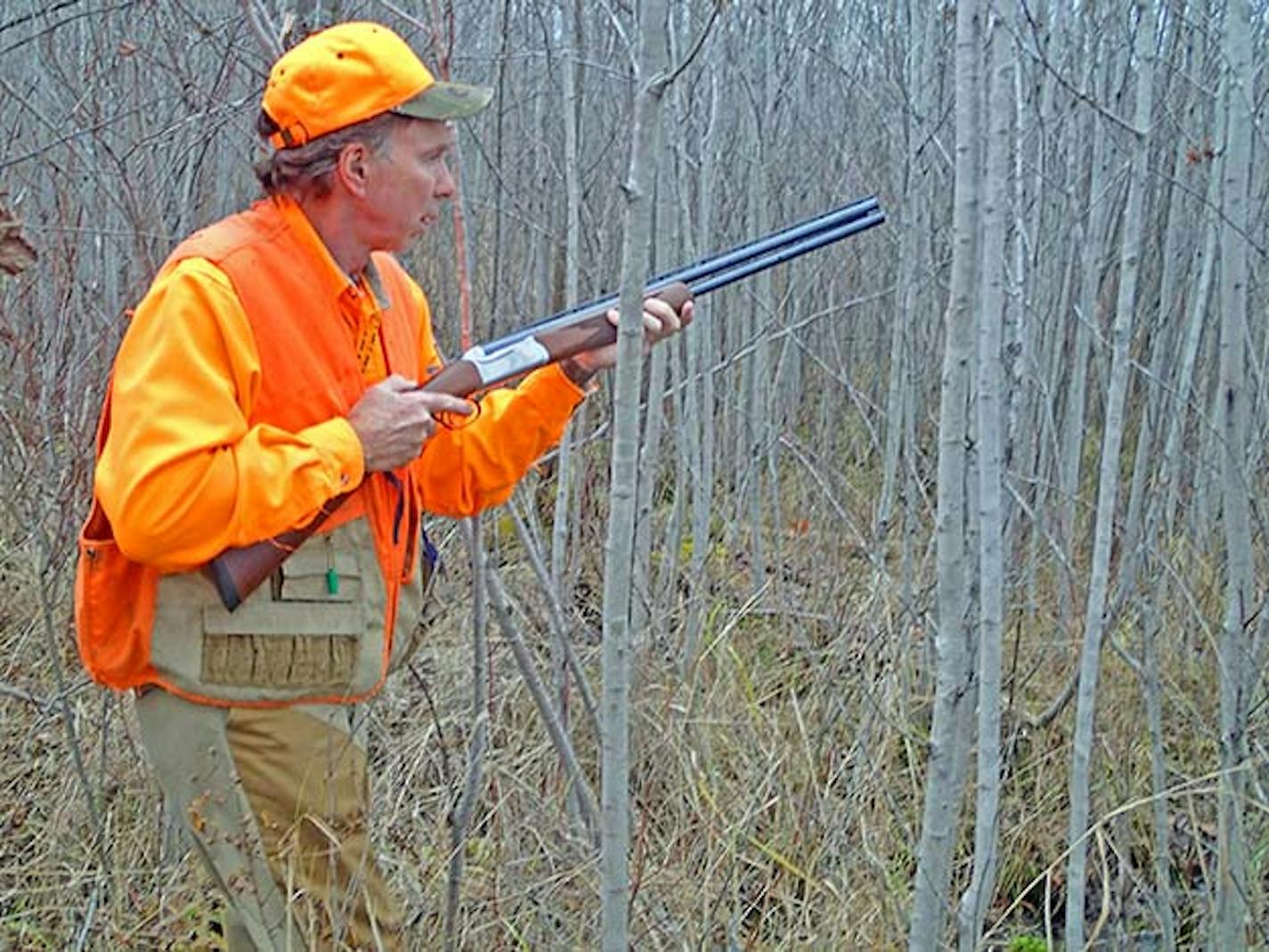 Bill Marchel, who lives near Brainerd, anticipated the rising of a woodcock or grouse in a stand of young aspen interspersed with hazel thickets.