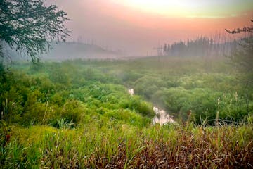 A smoky, foggy sunrise along the Gunflint Trail. Capturing and storing carbon dioxide, the leading greenhouse gas driving global warming, is a key par