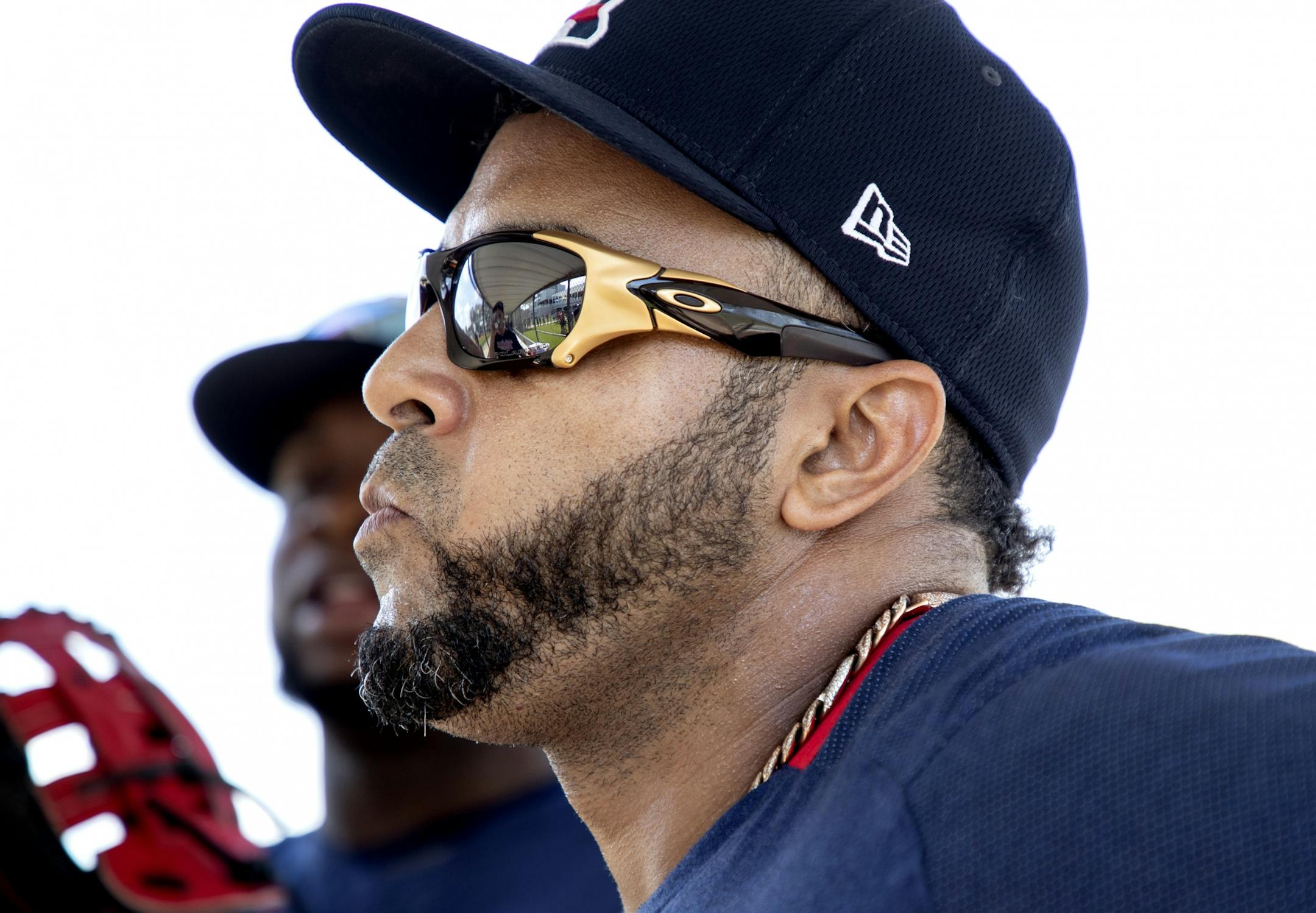 Minnesota Twins DH Nelson Cruz.