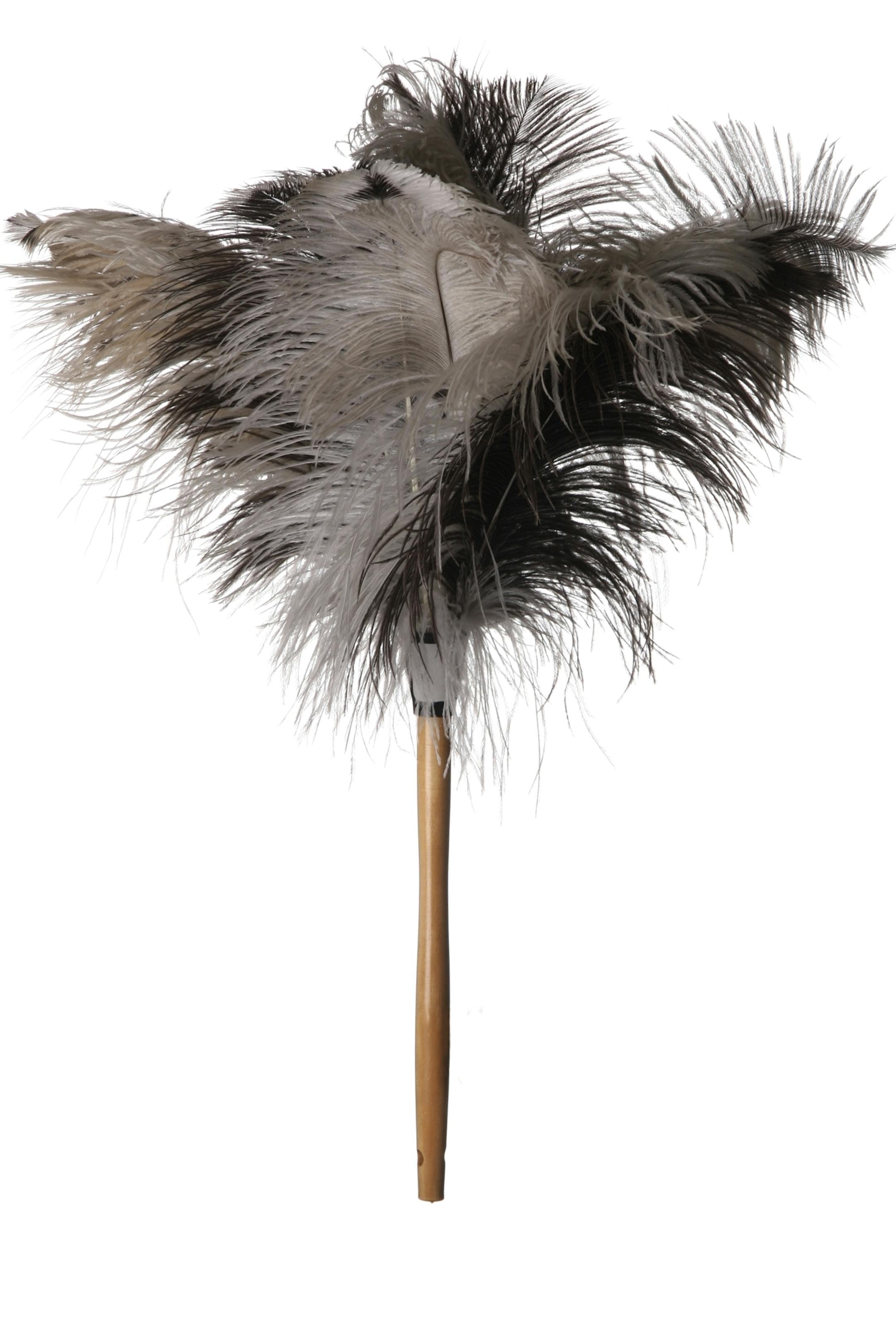Gray ostriched feather duster with wooden handle isolated on white background