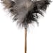 Gray ostriched feather duster with wooden handle isolated on white background