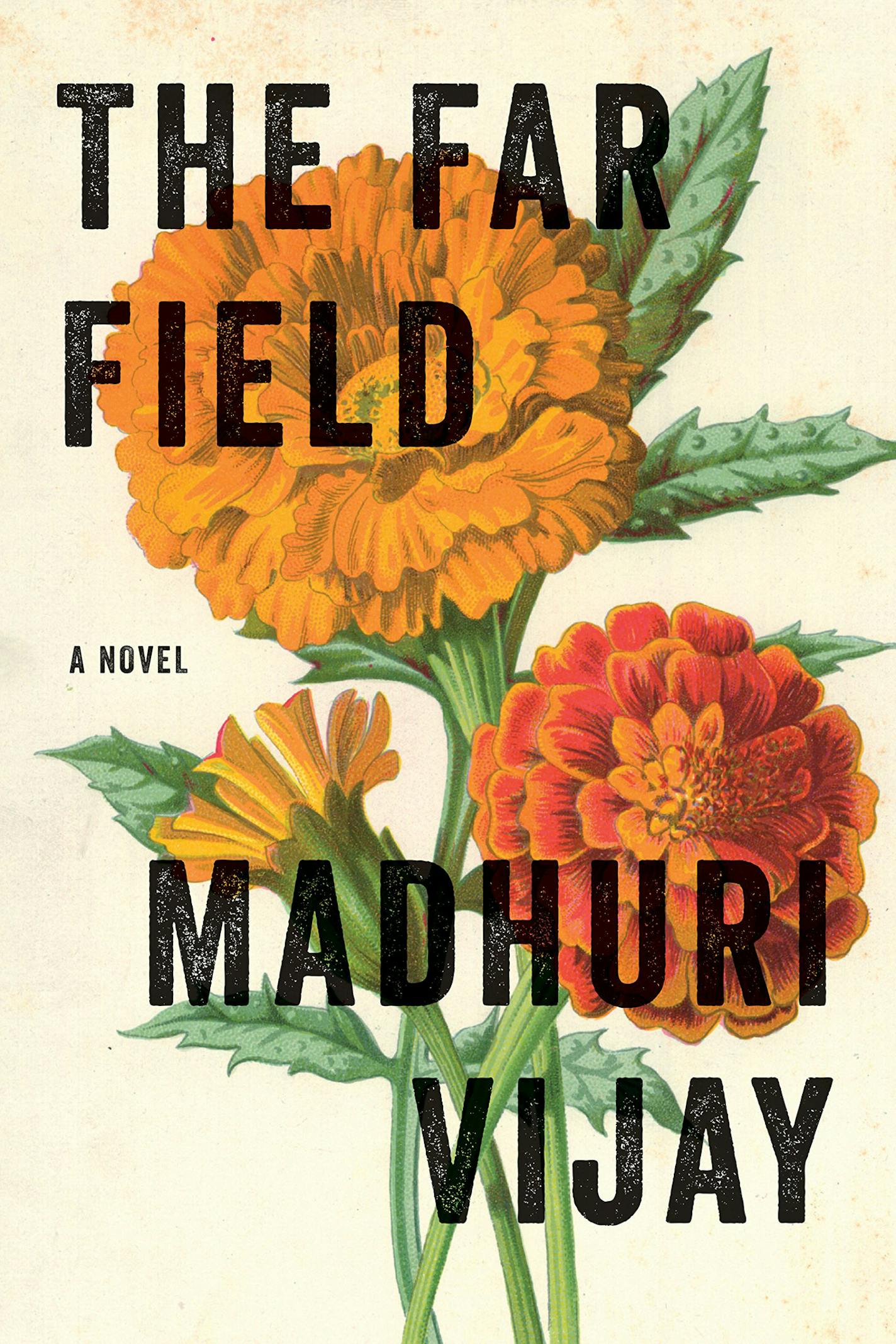 "The Far Field" by Madhuri Vijay