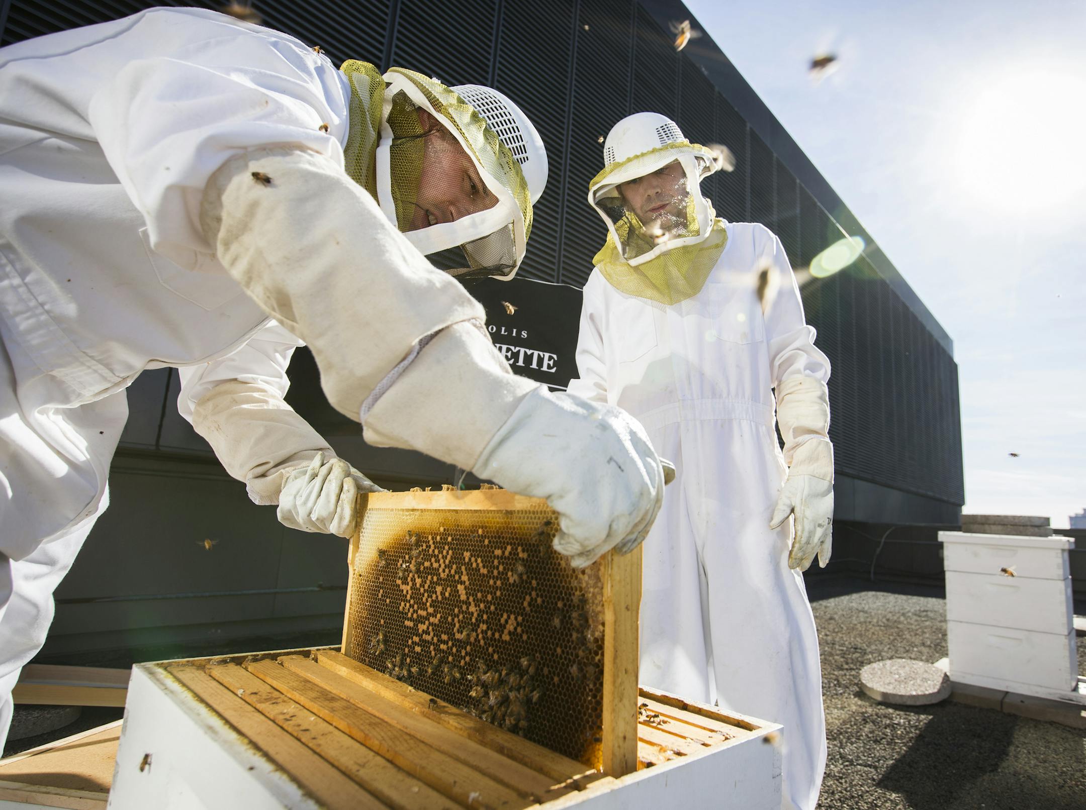 Dan Klein, executive chef at The Marquette Hotel, left, and Mark Lowman, banquet chef, harvest honey on the rooftop at the Marquette in downtown Minneapolis Thursday, October 22, 2015. ] (LEILA NAVIDI/STAR TRIBUNE) leila.navidi@startribune.com BACKGROUND INFORMATION: Honey from The Marquette Hotelís rooftop ìbee hotelî is harvested for use in cocktails and dishes at the hotel. The dishes include: honey cider vinaigrette, honey candied pecans, the cocktails Honey Bubbles (made with
