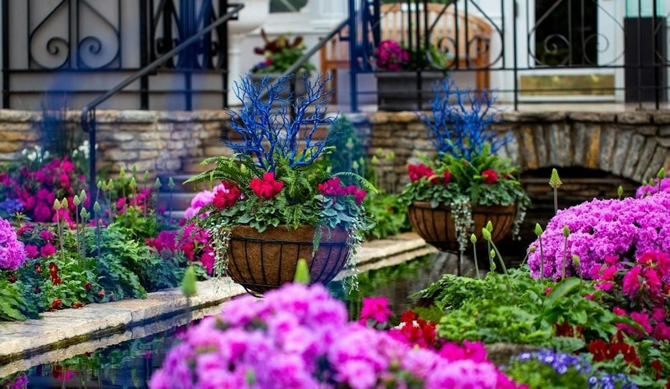 Winter Flower Show at Como Park Zoo & Conservatory