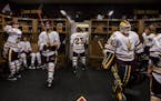 Arizona State hockey officially applies for NCHC membership