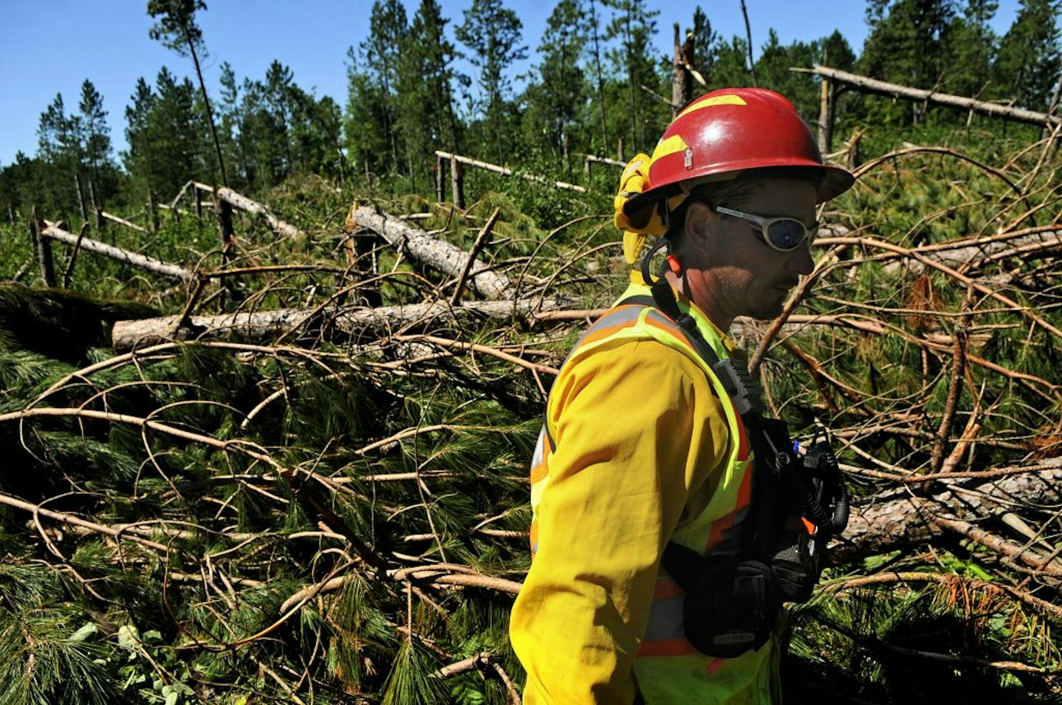 Dean Krause, heavy equipment boss and sawyer, is leading the project of clearing the mess in St. Croix State Park. Some of the salvaged wood will be sold.