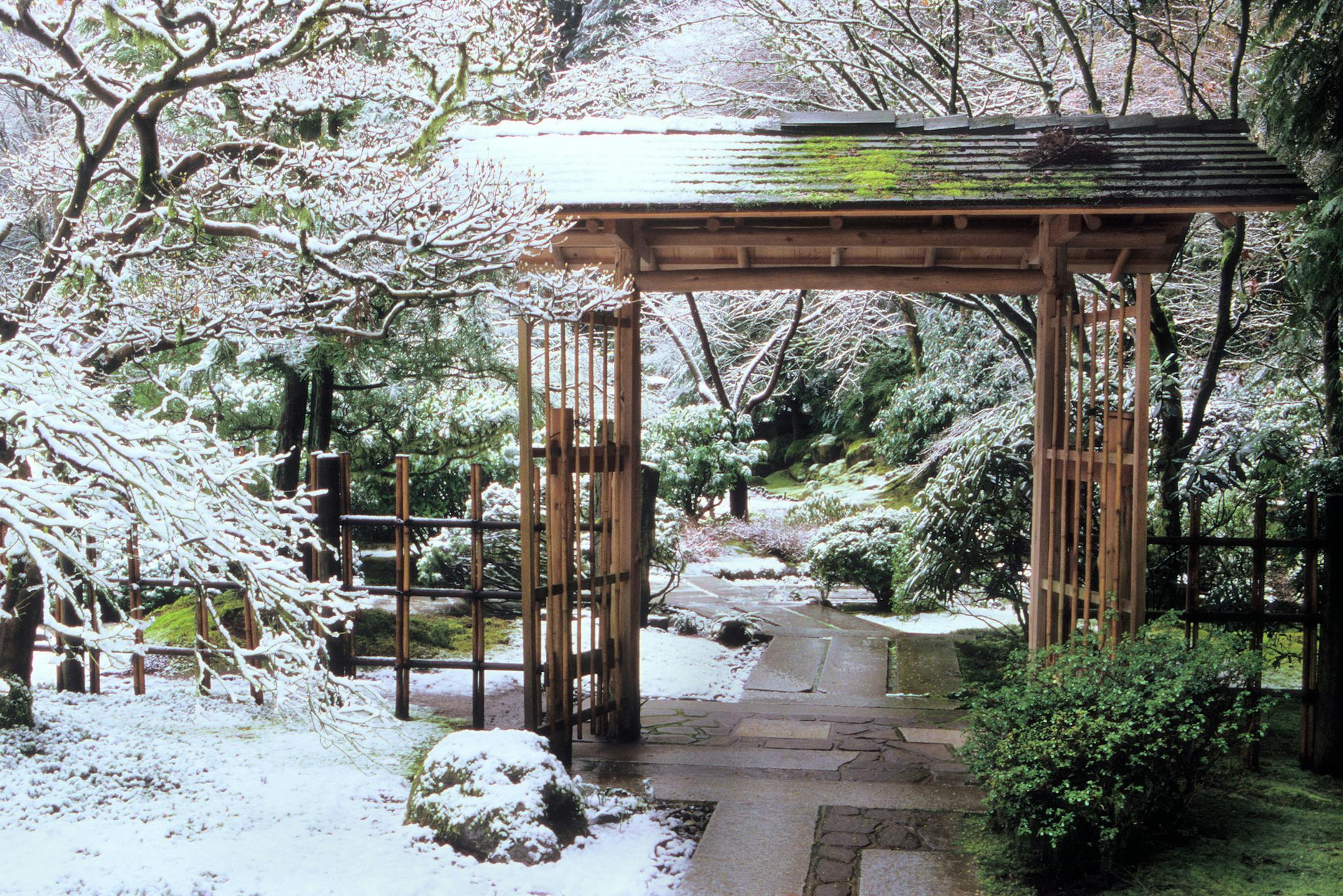 Tea House Gate at the Portland Japanese Garden in Oregon. Japanese gardens strive to allow nature - not human hands - to dictate their development. (David M. Cobb/Portland Japanese Garden)