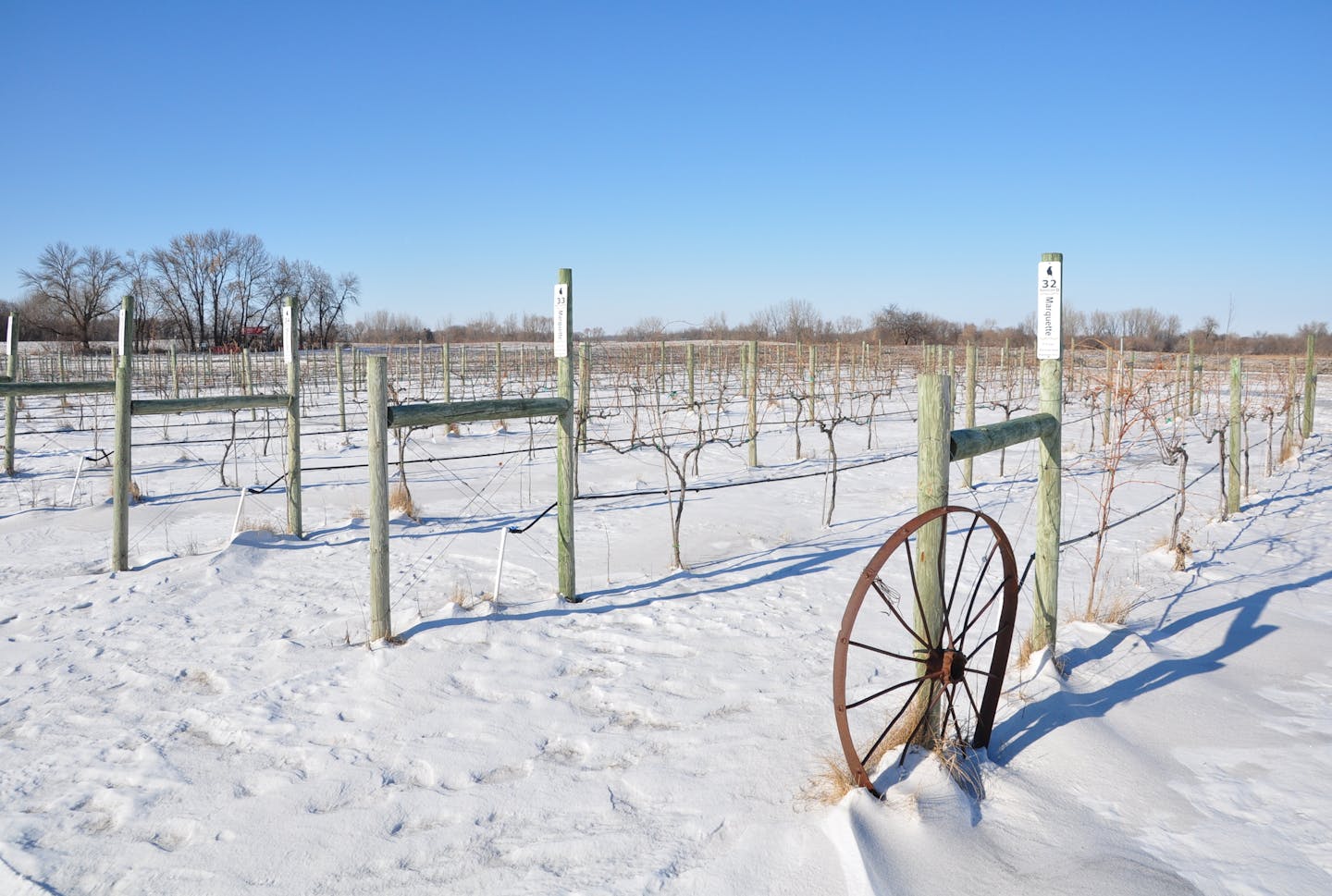 Winter winery clearance