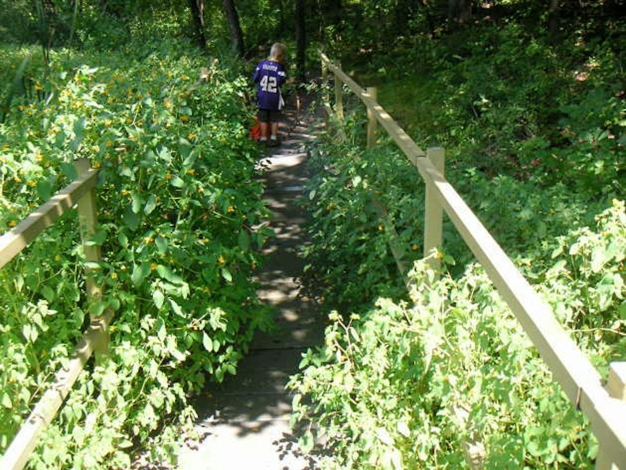 Enter Quaking Bog if you dare!