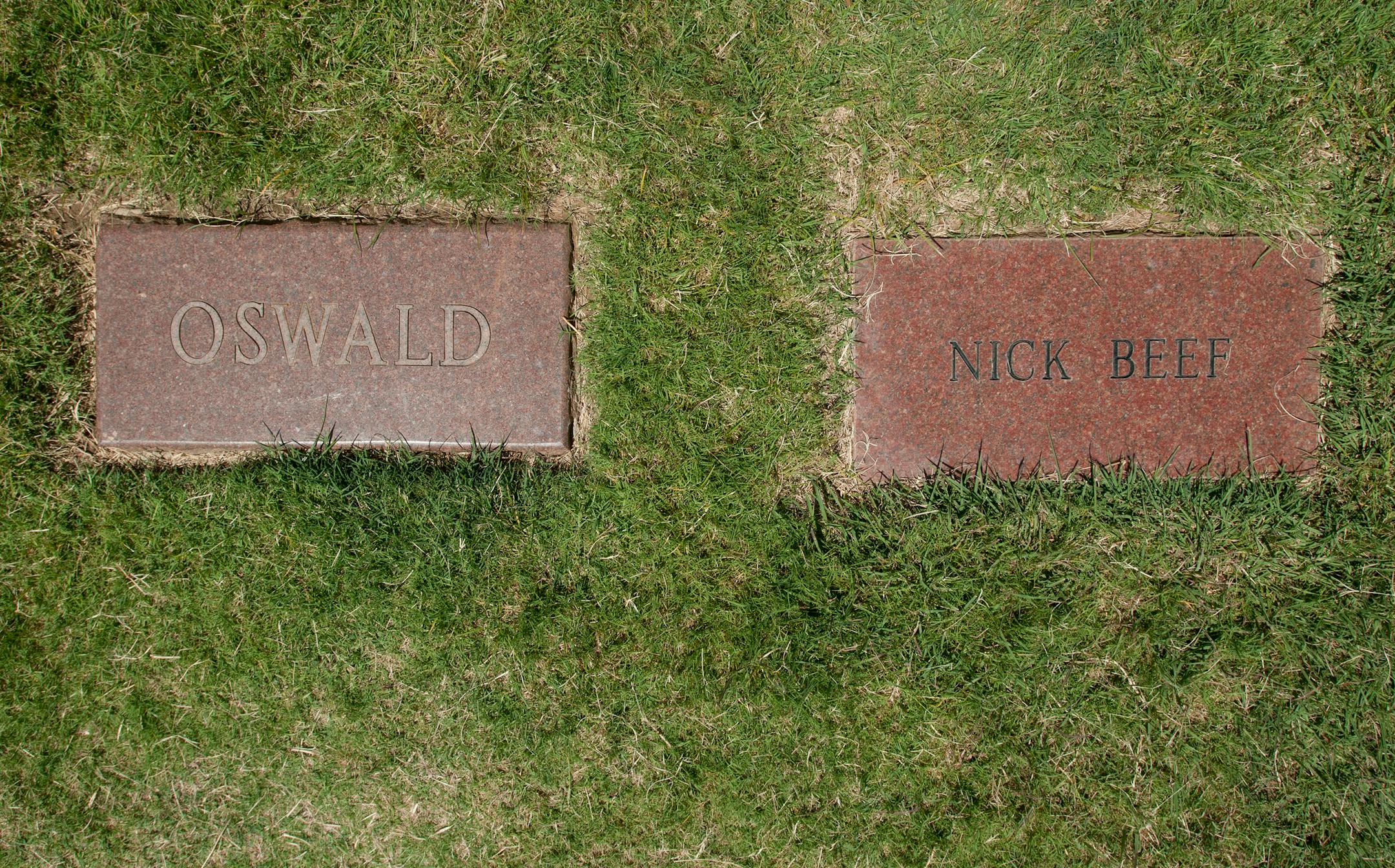 The grave of Lee Harvey Oswald next to an empty grave with the name of Nick Beef on the grave marker at Shannon Rose Hill Cemetery in Fort Worth, Texas, June 12, 2013. Conspiracy theorists and assassination buffs have been vexed for 15 years by the appearance of the granite marker with the engraving "Nick Beef," a burial plot Patric Abedin, who sometimes goes by Nick Beef, a long-held persona, purchased over a decade ago. (Rex C. Curry/The New York Times)