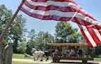 BRUCE BISPING &#x2022; bbisping@startribune.com Shakopee, MN., Saturday, 5/29/2010] An American flag framed a Percheron horse-drawn trolley as it pass