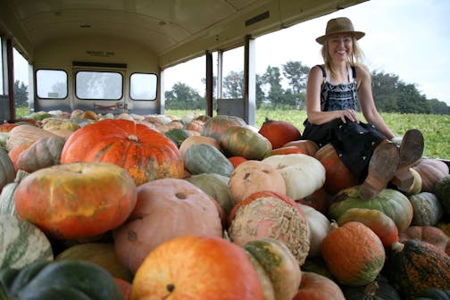 Sarah Frey, owner of Frey Farms, sits atop a mound of her pumpkins at her farm in Poseyville, Ind., Sept. 8, 2016. Frey, who has made a fortune farming the basic orange models, wants people to start eating the quirky heirlooms. (Aaron Borton/The New York Times)