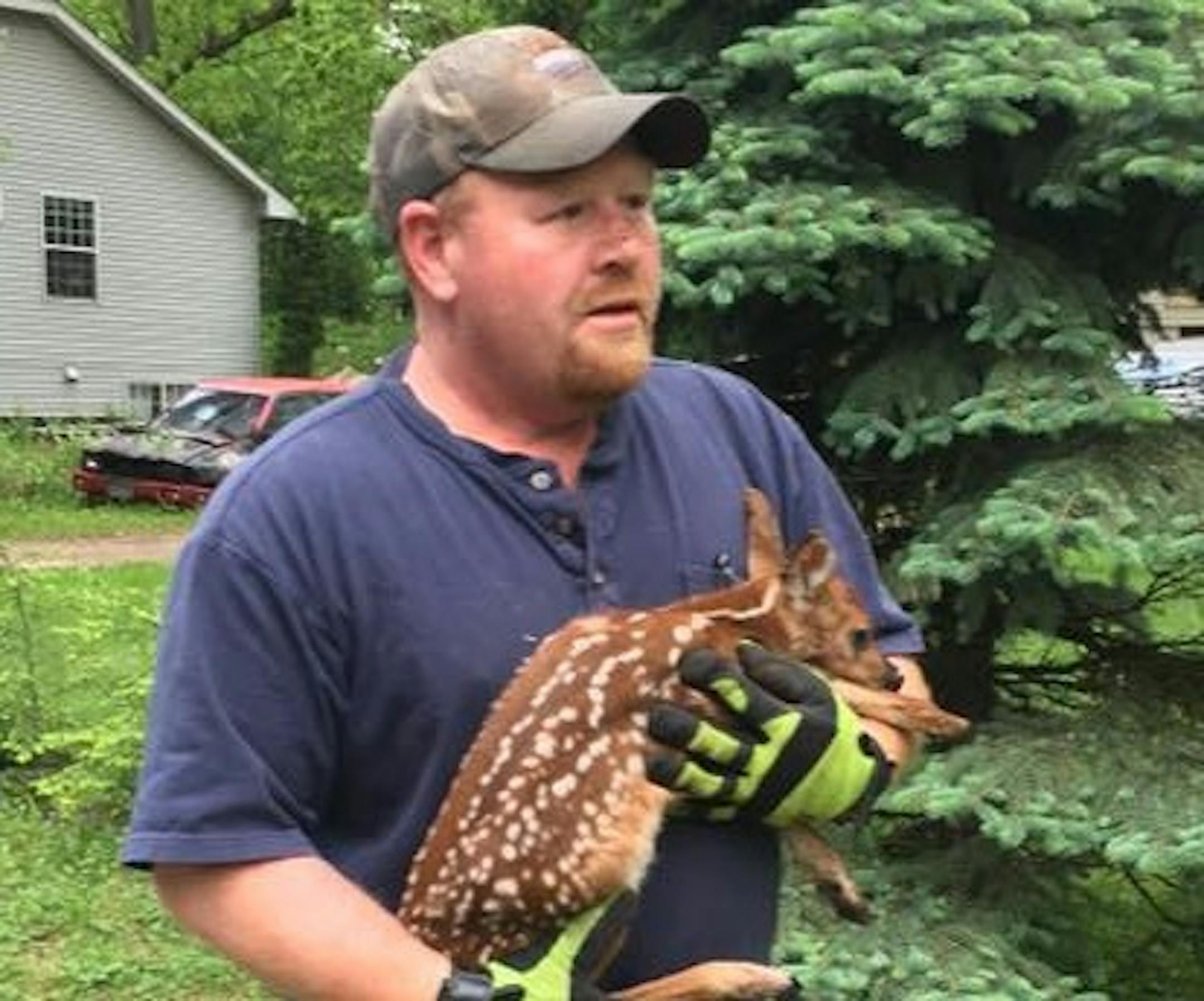 Bob Goebel and the fawn he rescued from a storm drain.