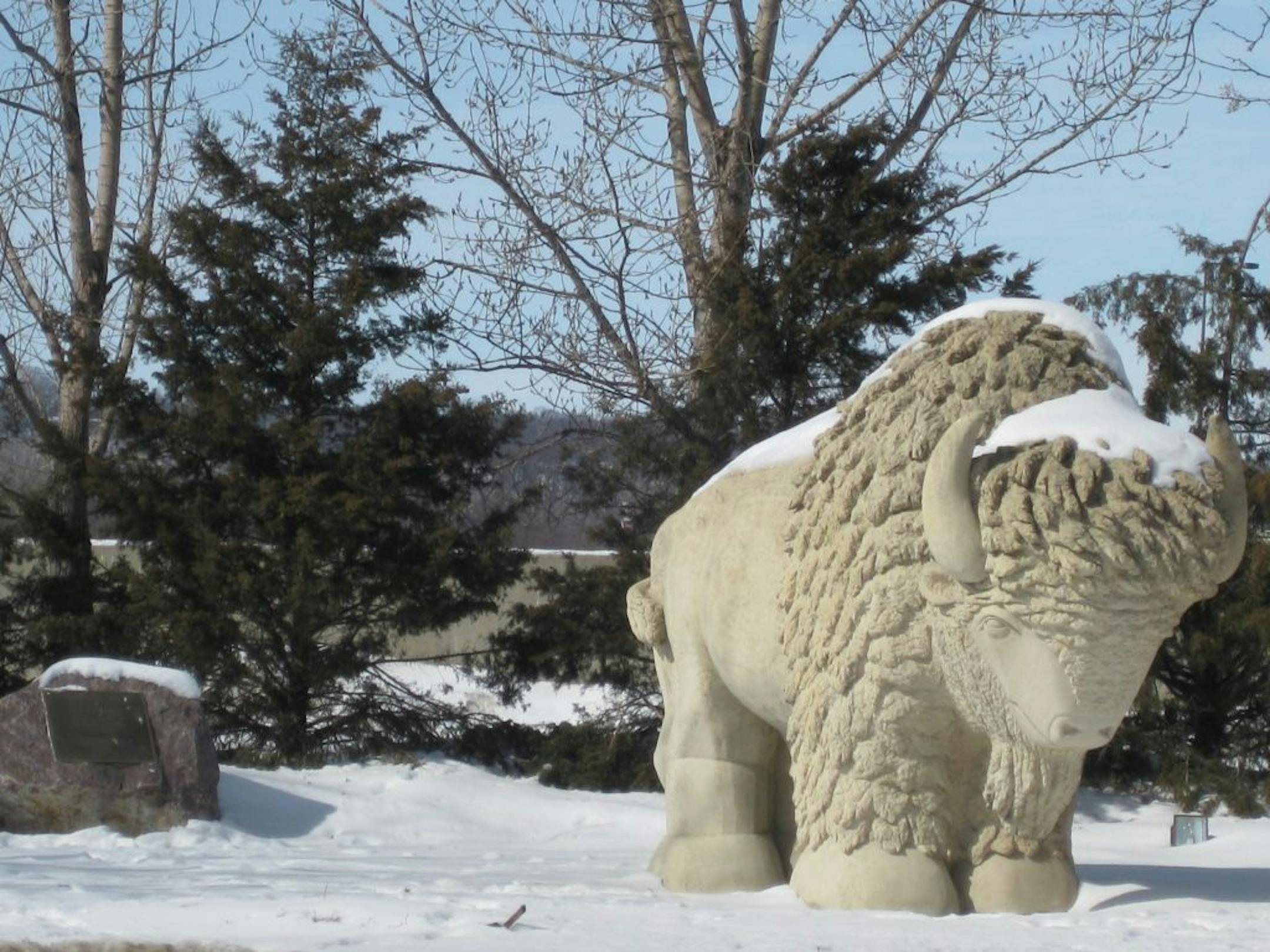 A buffalo statue in Mankato's Reconciliation Park was dedicated in 1997 on the site where 38 Dakota Indians were hanged by the government in 1862 in the largest mass execution in U.S. history.