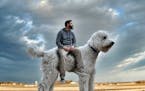 Chris Cline has made his dog Juji the doodle a global star via his Instagram account, @christophercline.