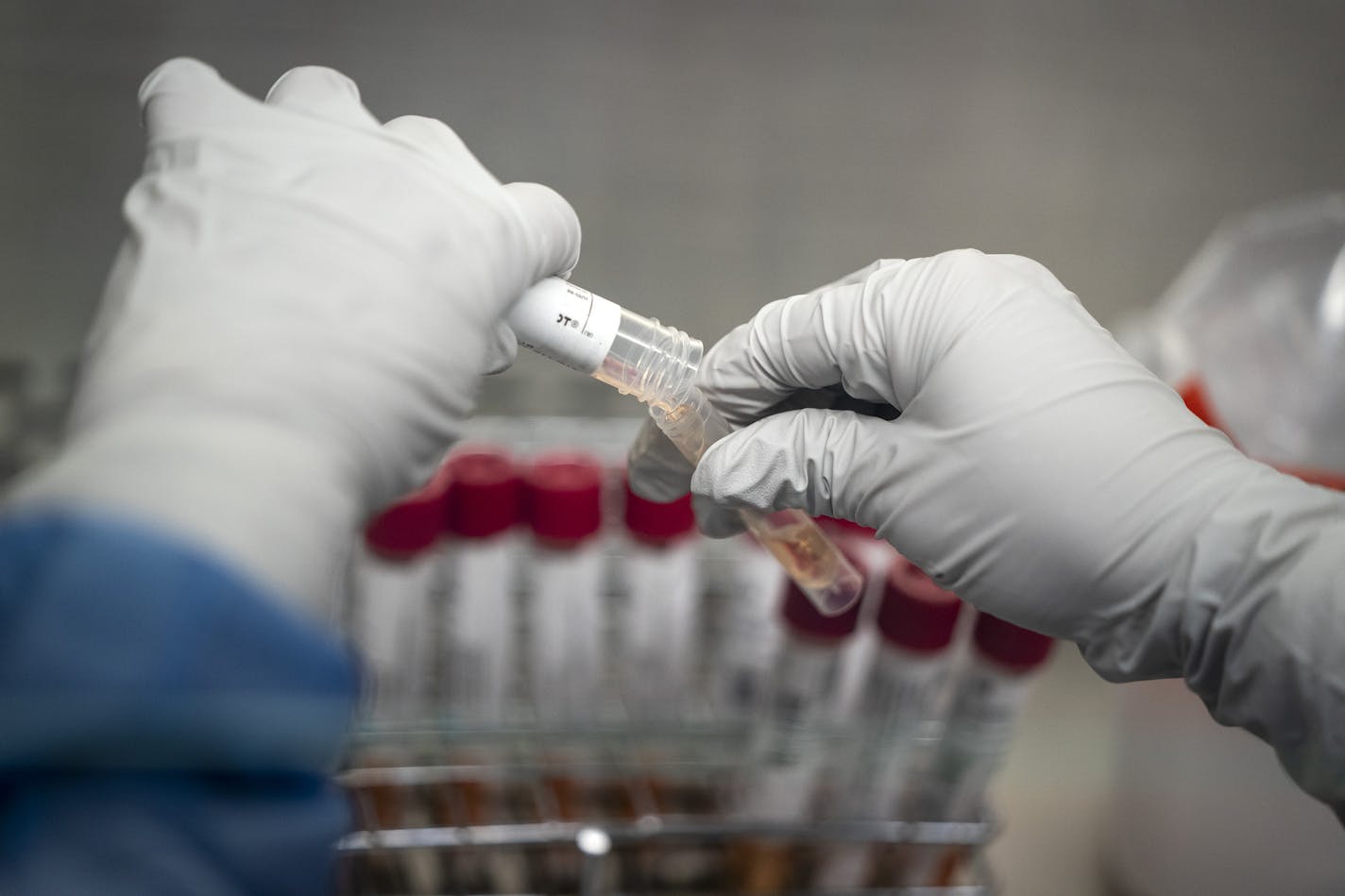 Jax Benjamin, a clinical quality assurance officer, completed the viral processing stage of testing, taking patient samples that have come in and transferring them to another container at the Minnesota Department of Health Virology Lab.