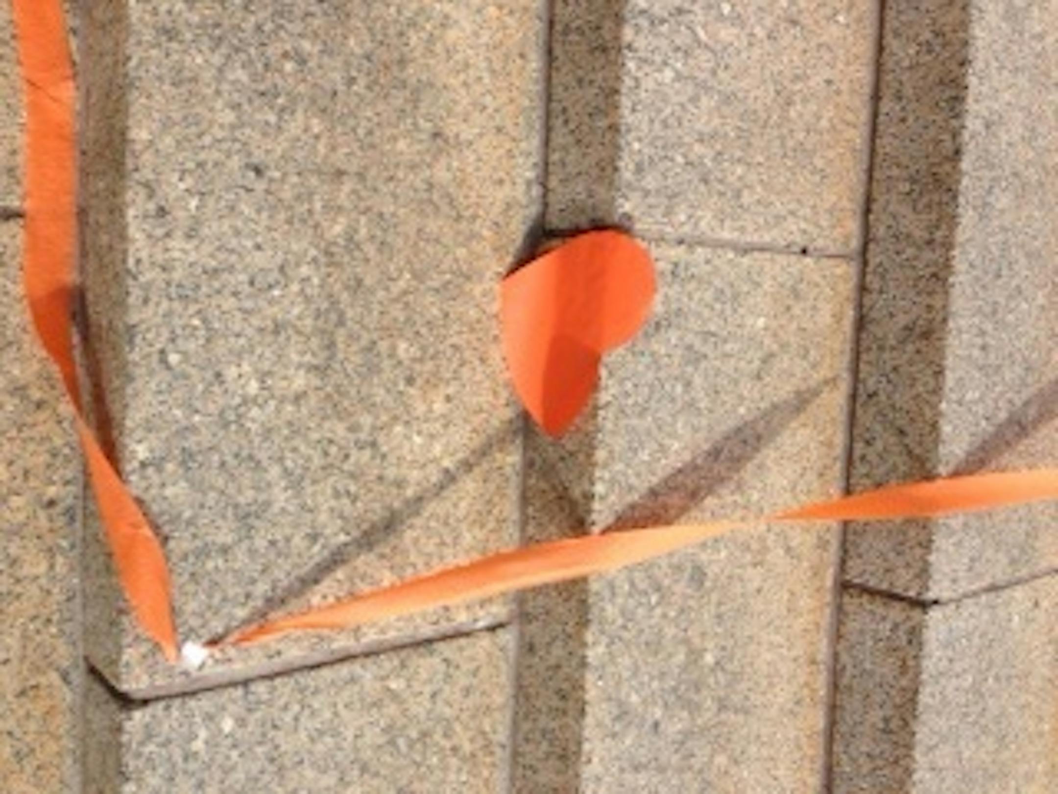 Hearts were pasted on the Capitol's stone steps to greet Senators voting "Yes" Monday