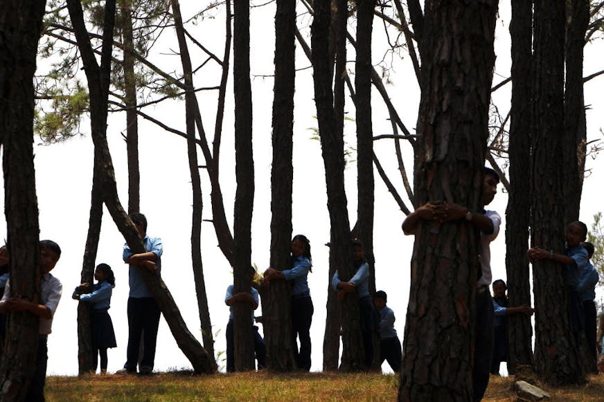 June 5, 2014: Nepalese students hug trees during a mass tree hugging on the World Environment Day on the outskirts of Katmandu, Nepal.