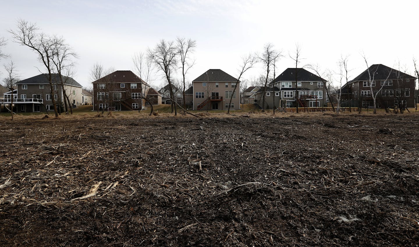 Neighborhood residents say they were not told that the trees were being taken out along the wetland in Blaine.