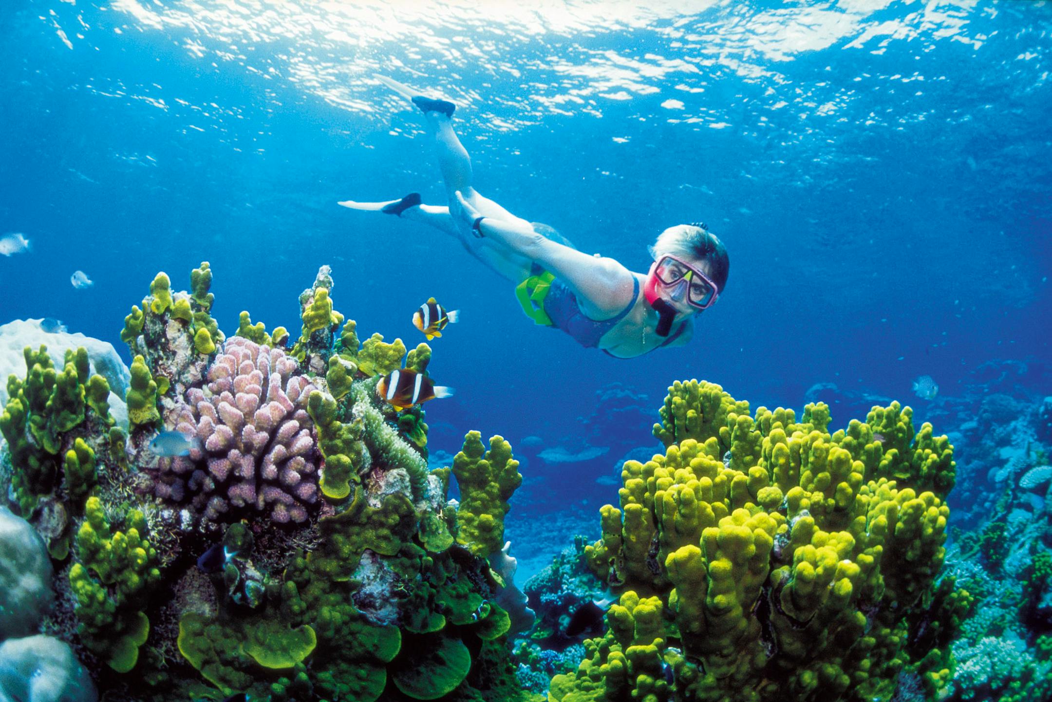 A diver snorkels in the Great Barrier Reef off Australia's Queensland state. Australia is surrounded by the world's third-largest ocean territory, which provides important habitat to threatened species of whales, sharks and turtles as well as spectacular corals.