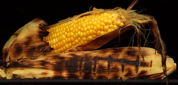 Grilling season is here. Some grilling foods for menu include grilled corn on the cob. (Robert Cohen/St. Louis Post-Dispatch/MCT) ORG XMIT: 1153182