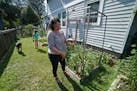 Catherine McDonnell-Forney and her husband, Nick Schroetter, have installed raised beds on their side yard for growing vegetables and herbs. Their dau