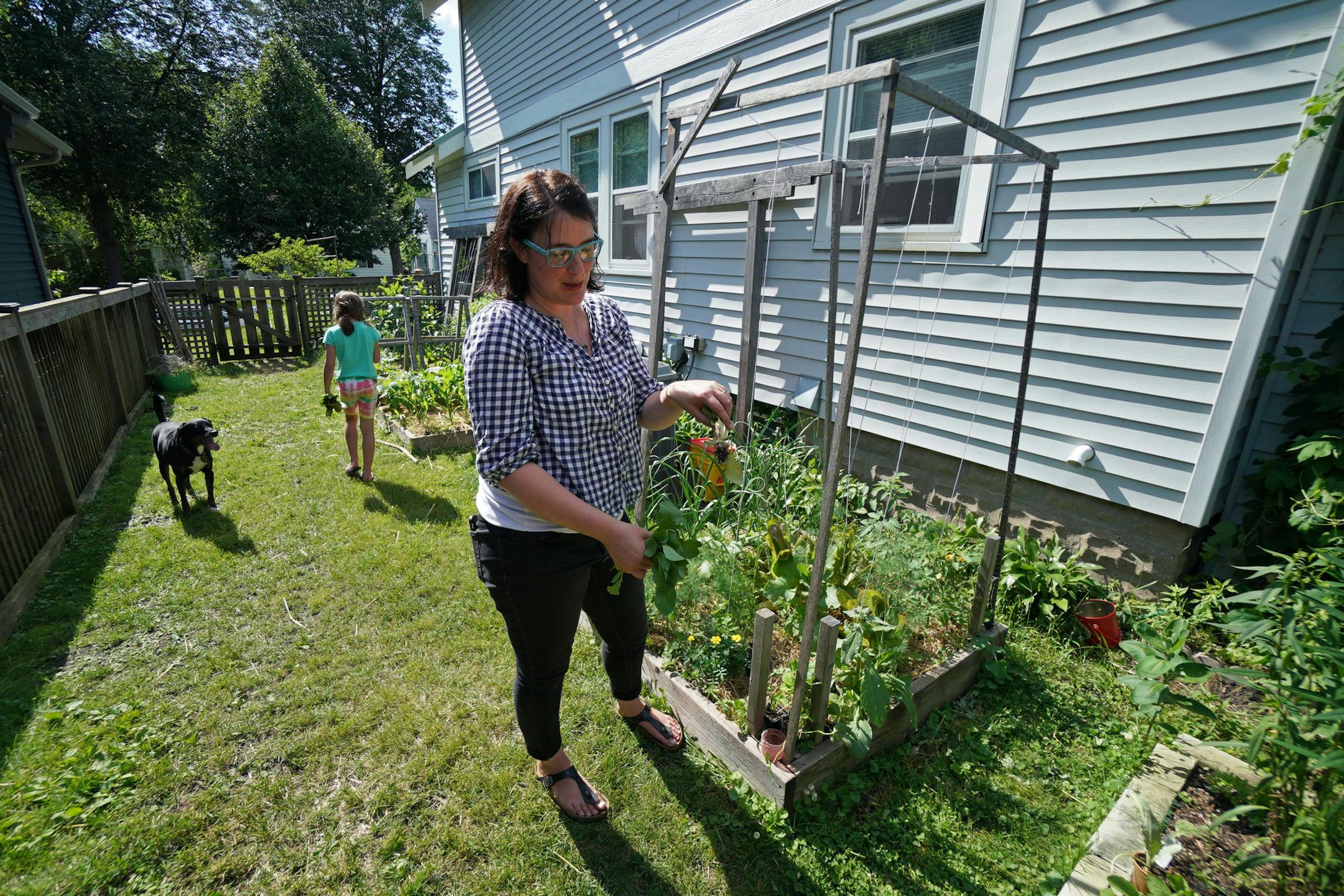 Catherine McDonnell-Forney and her husband, Nick Schroetter, have installed raised beds on their side yard for growing vegetables and herbs. Their daughter Madeline likes tomatoes best. "You can just come out and eat them," she said.