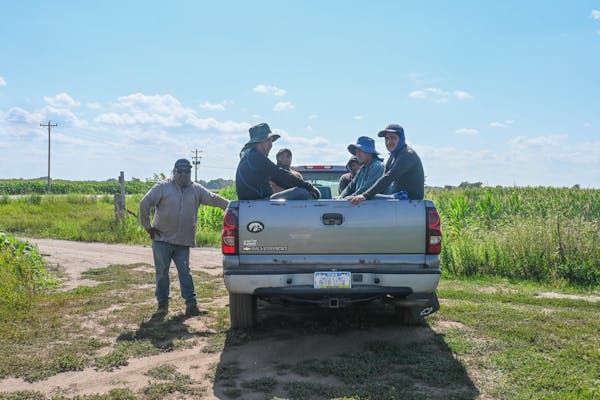 Juan Peña (seated at left) takes a break with other farmworkers in a field in southeastern Iowa on July 20, 2023. Their crew leader (standing) said s