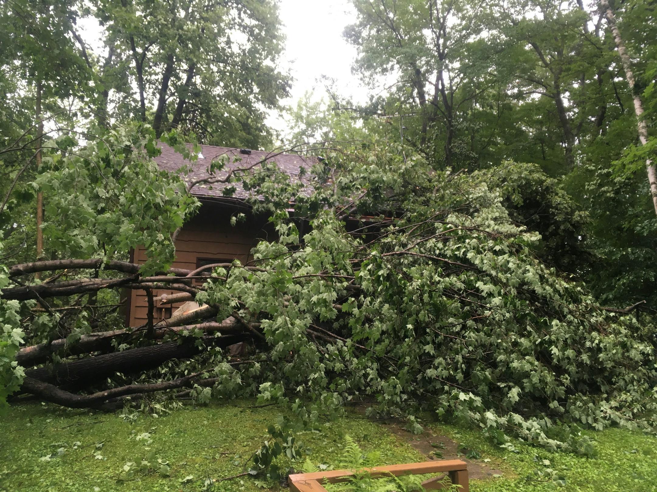 The scene that greeted the writer.