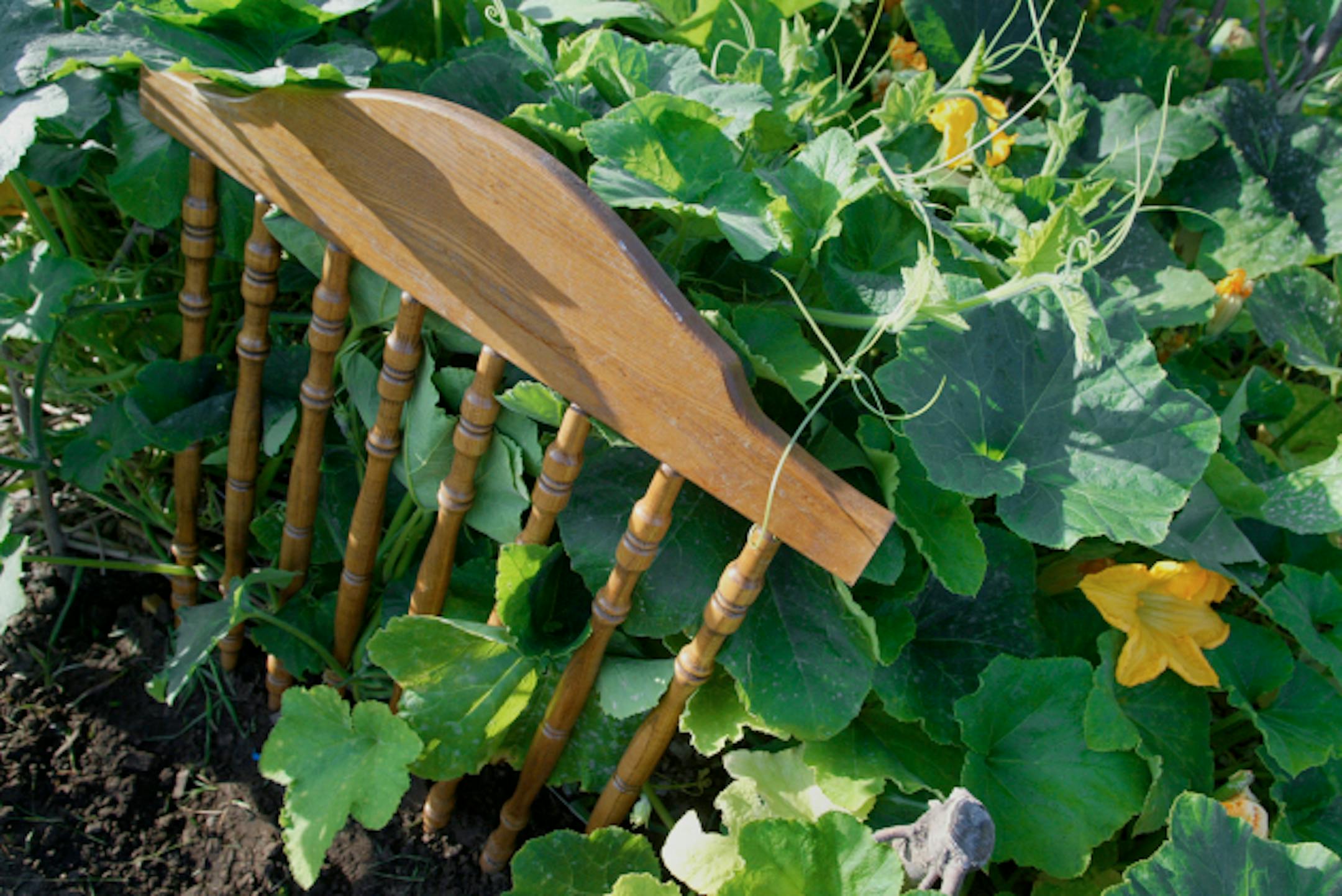 Minneapolis, MN 8/13/2002--The community (Korean) garden that can be seen from I94 is adorned with discarded items that have found new uses, headboards, refrigerator grates, chair backs and other such items are used as trellis's. Old strollers and potty chairs are used as holders and transports.