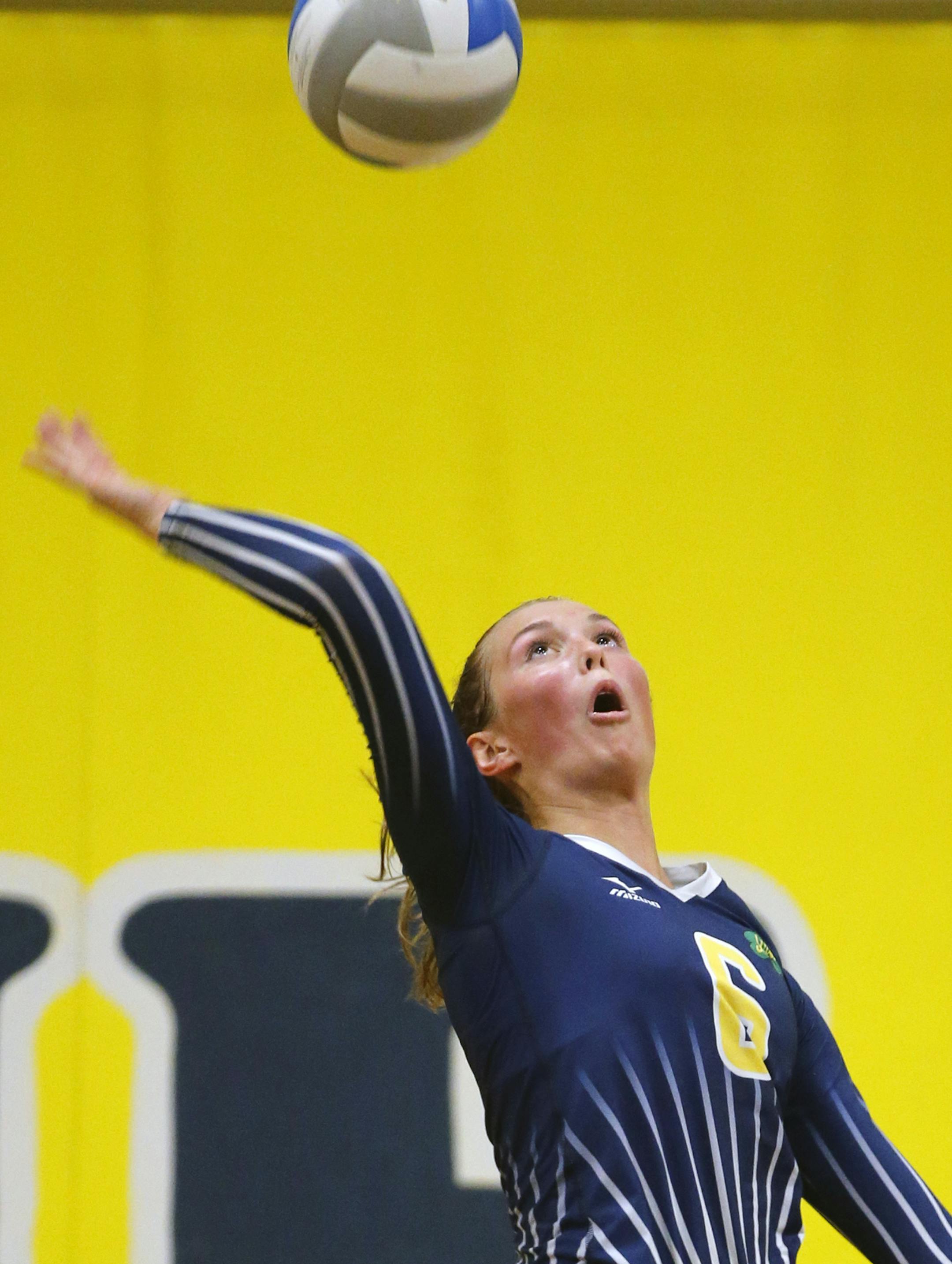 At Rosemount H.S. Brittany McLean(6) is a key players for the Rosemount girls volleyball team. ]Richard Tsong-Taatarii/rtsong-taatarii@startribune.com