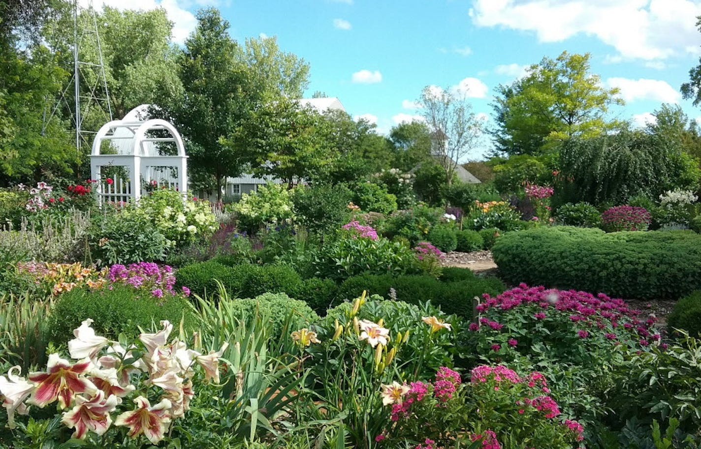 Debbie and Brad Young's Cokato garden. Provided