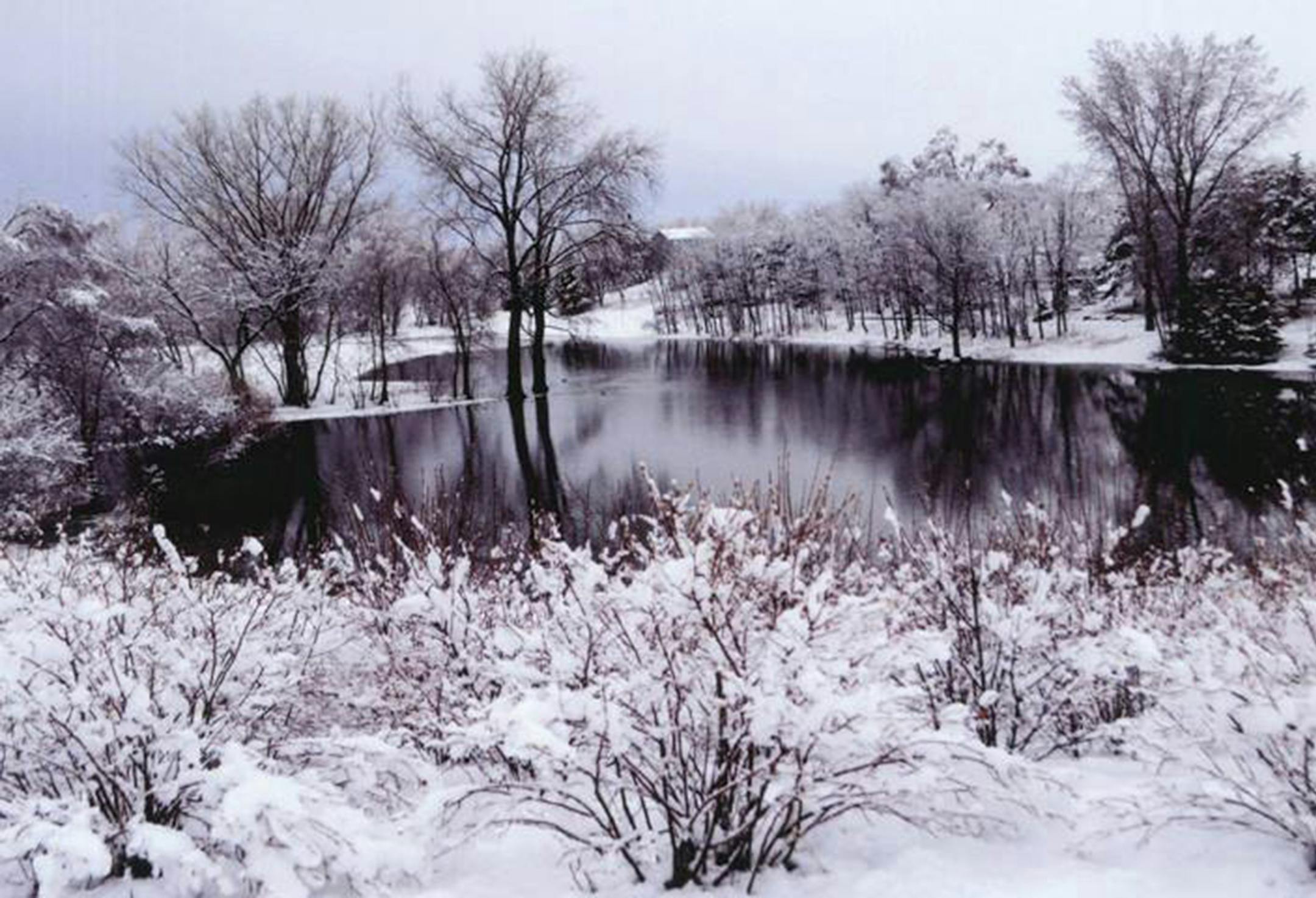 photo by Sue Hofacker, Cottage Grove photo contest winner in the parks and trails category