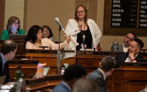 Rep. Kim Hicks (DFL) argues to keep undocumented individuals on Minnesota Care by recounting her own experience of taking care of children of an undoc