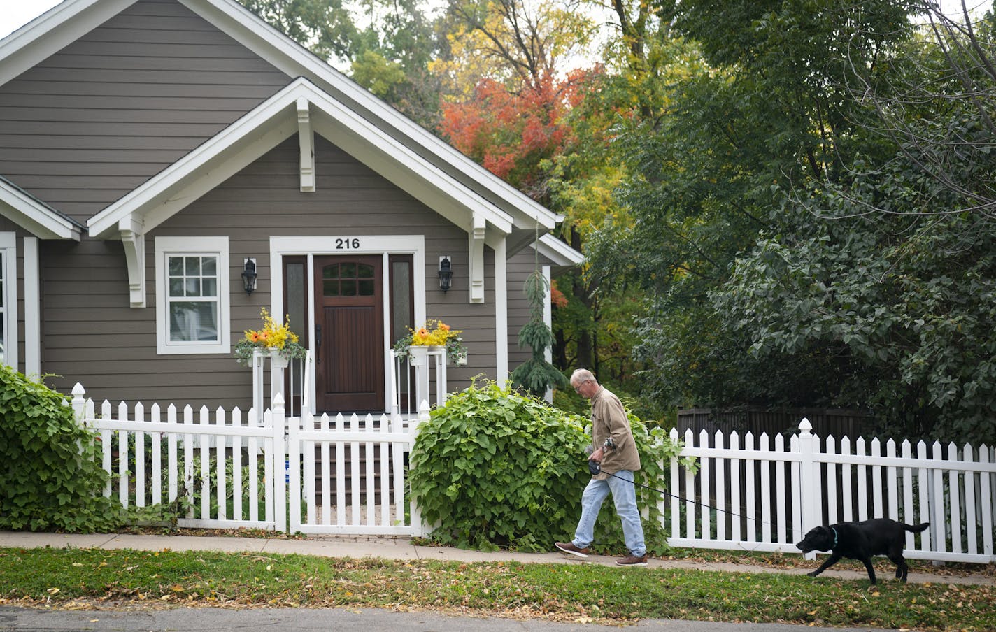 Some longtime Excelsior residents see teardowns and new home construction as changing the city's quaint character. Dave Free walked his dog Dita along a street in downtown Excelsior, Minn., that has many older, charming homes among larger, new construction. Photographed on Tuesday, September 29, 2020. His home was a teardown but he rebuilt it in character of the existing homes in the neighborhood. ] RENEE JONES SCHNEIDER renee.jones@startribune.com