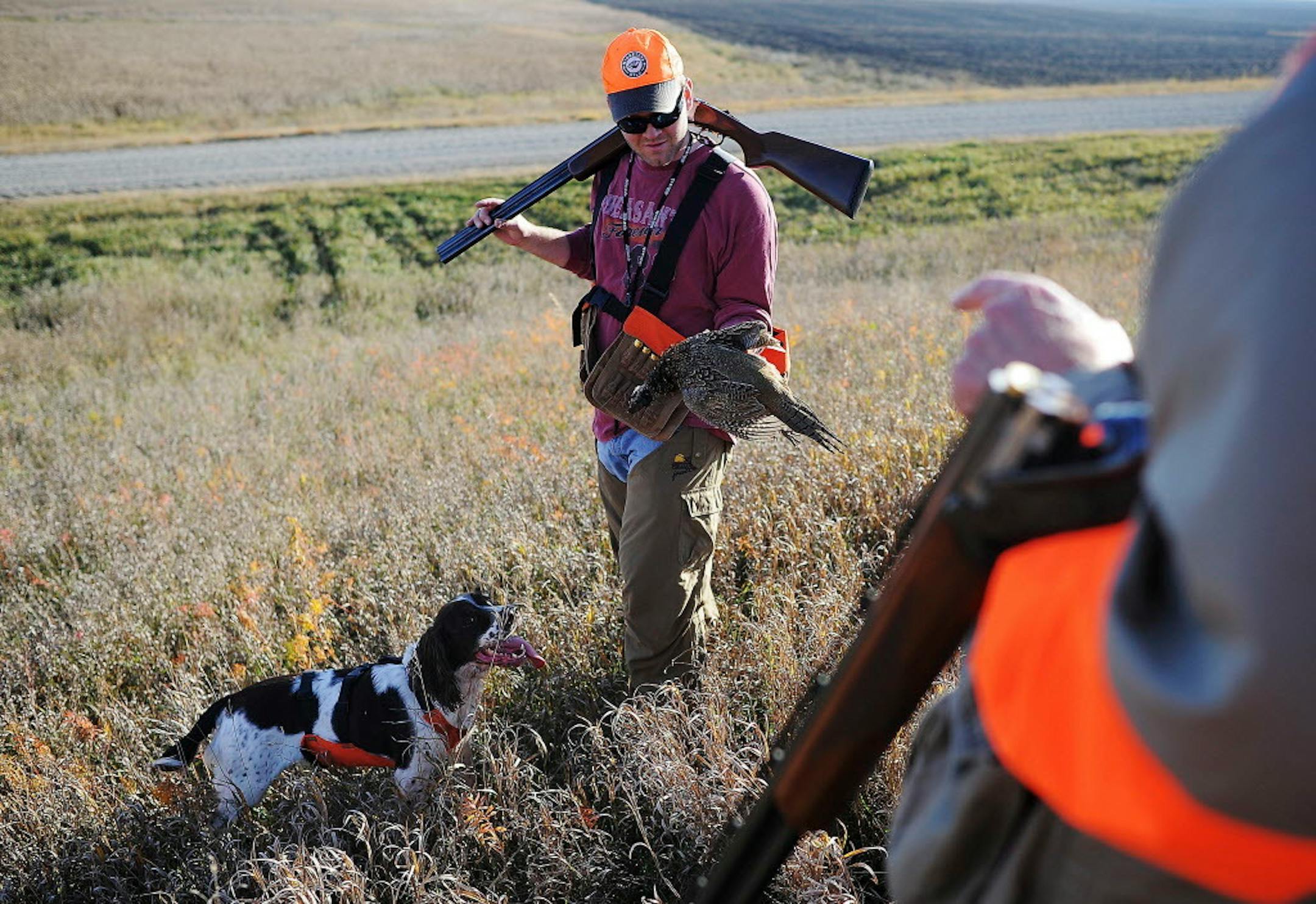 FILE - In this Oct. 18, 2014 file photo, Jason Nomsen, of Sioux Falls, S.D., talks with his dad, David Nomsen, director of the Pheasants Forever South Dakota Regional Office, about a young rooster pheasant he had shot during the South Dakota pheasant hunting opener at the Waterfowl Production Area land near Colman, S.D. State wildlife officials said Thursday, Aug. 27, 2015, that pheasant hunters in South Dakota should have a better hunting season in 2015 thanks to an estimated 42 percent jump in