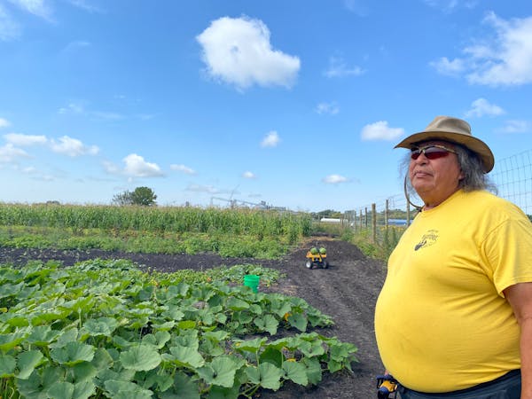 Robert Shimek, an extension staffer with the White Earth Tribal and Community College, toured a 1-acre field planted in the college’s backyard.