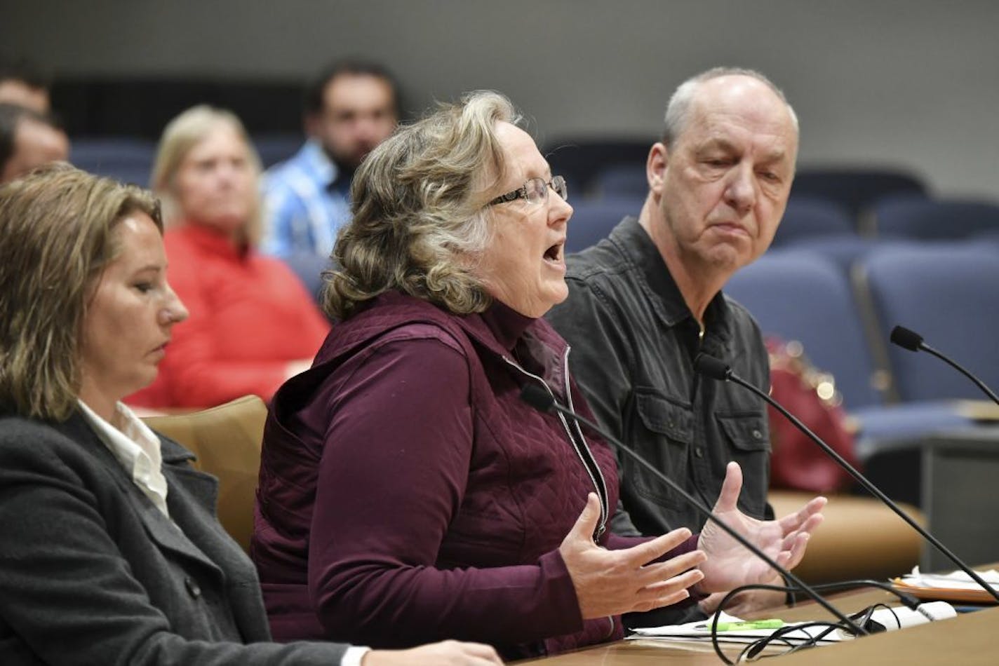 Kim Griffith, motor vehicle supervisor in Bloomington, speaks to the committee about the problems with the Minnesota Licensing and Registration System project during a hearing Nov. 15, 2017.