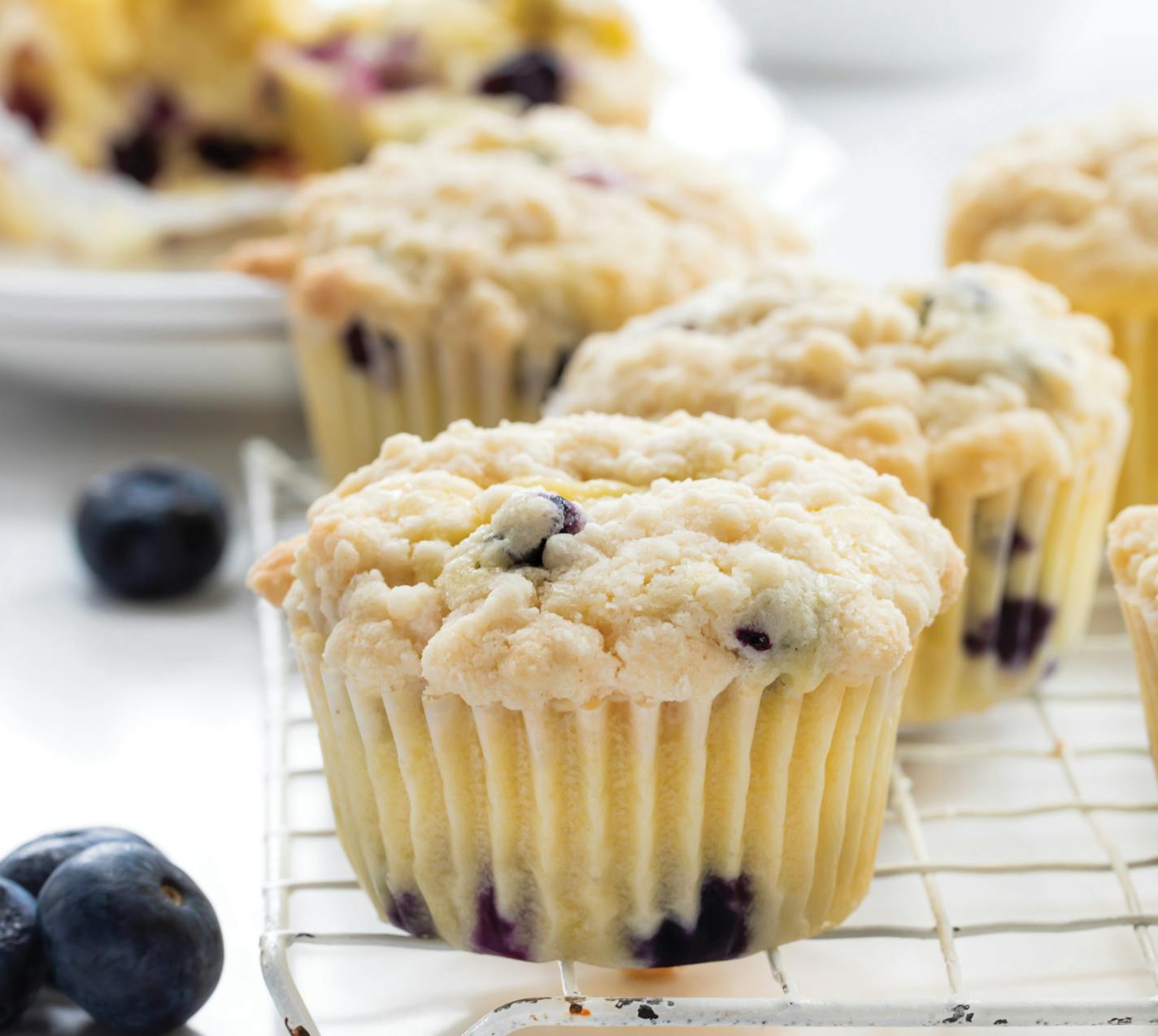 Bakery Style Bluerberry Muffins, by Amanda Rettke's new cookbook "Homestead Recipes" credit: Amanda Rettke