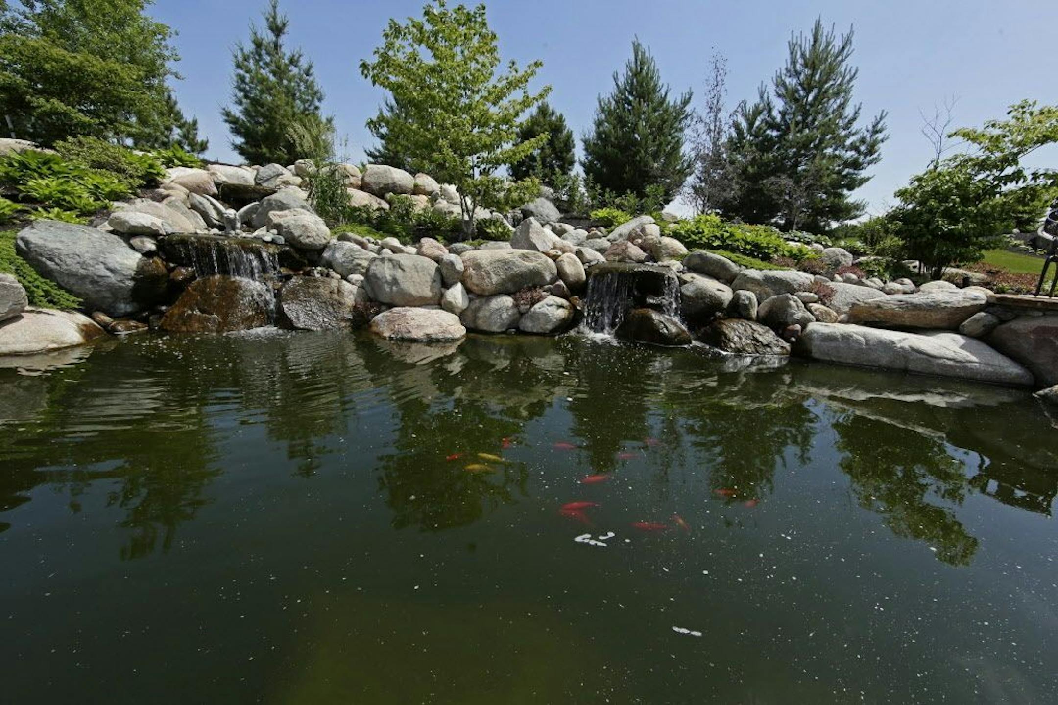 The koi pond.