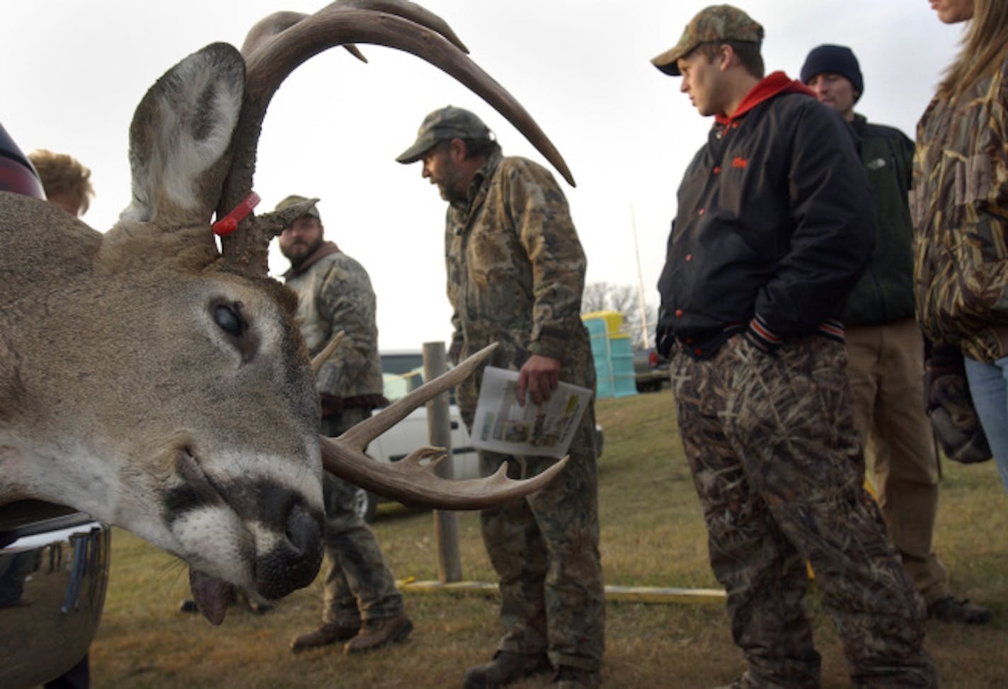 JOEY MCLEISTER � jmcleister@startribune.com Camp Ripley,Mn.,Thurs.,Oct. 19, 2006--(Center) Bow hunter Mark Meyer of Bear Creek, Wi., is framed by the rack of the 244-pound, 12-point buck he bagged during the Camp Ripley bow hunt. Meyer was one of 2,208 hunters participating in the first of two two-day hunts. There are an estimated 30 deer per square mile at Camp Ripley. GENERAL INFORMATION: The number of hunters in Minnesota has gone up, while across the country numbers are down. // deer hunting