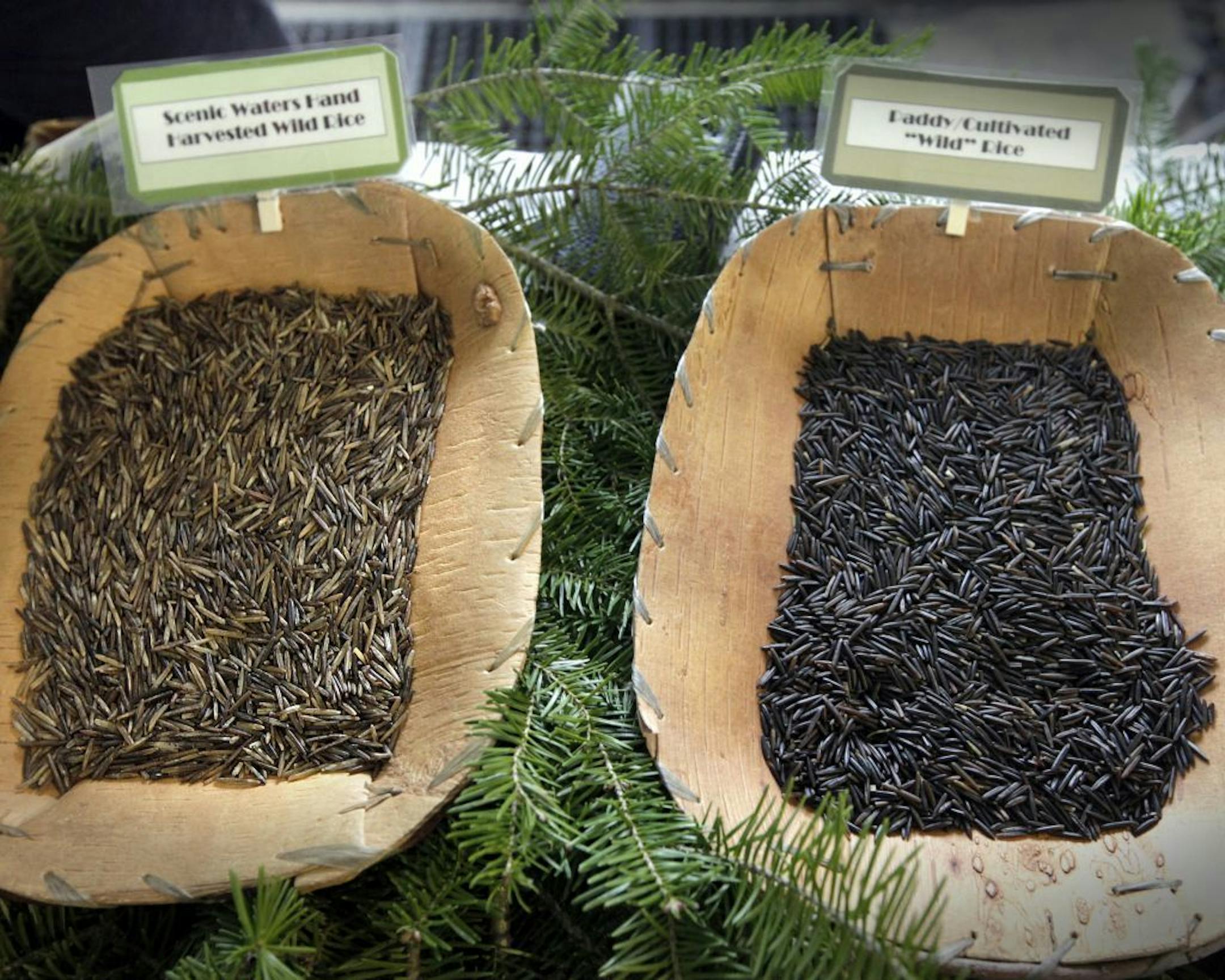Wild rice from northern Minnesota, Scenic Waters Wild Rice: Julie Burns